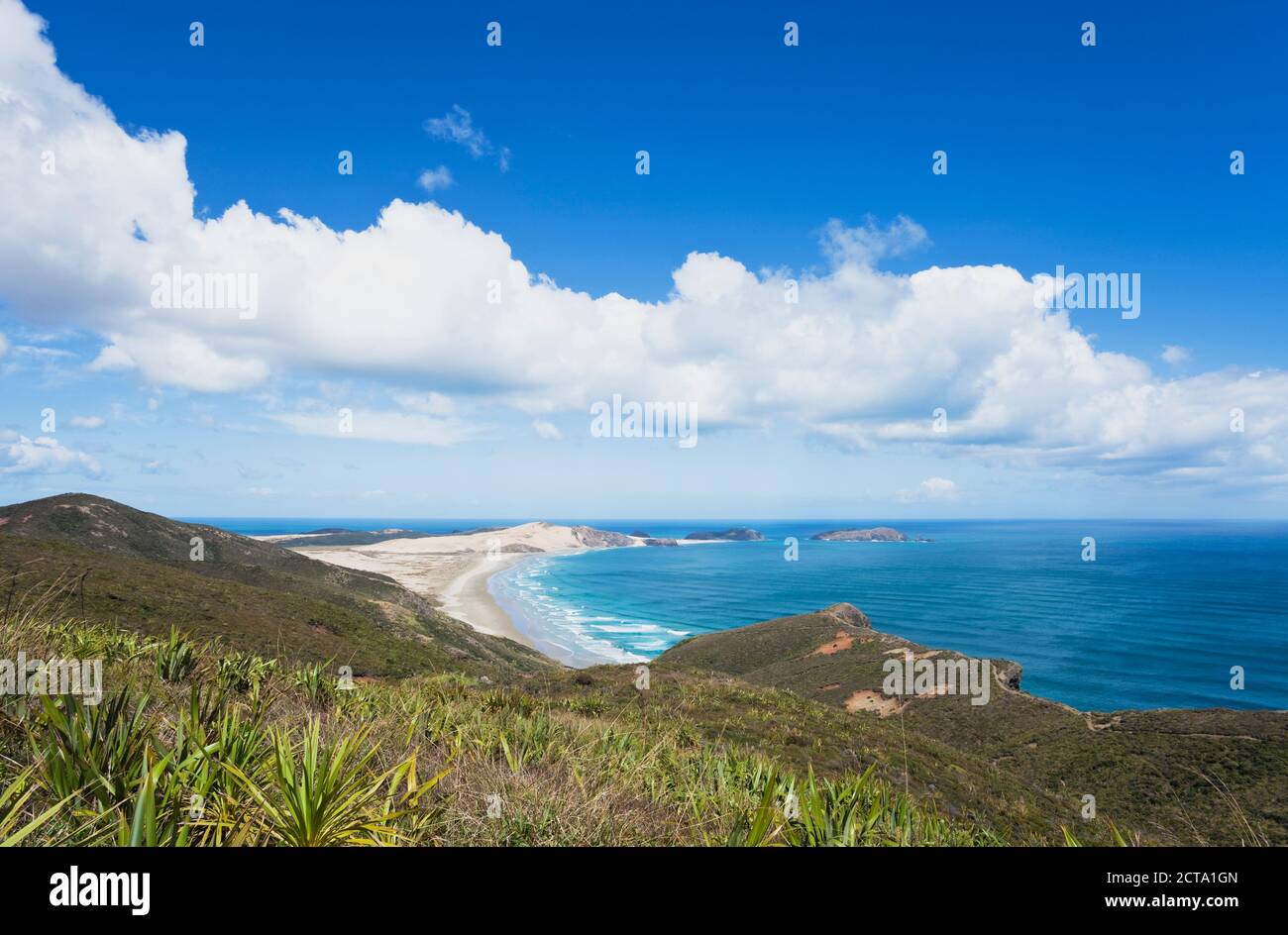 New Zealand, Northland, Cape Reinga area, Cape Maria van Diemen with sand dunes and beach Stock Photo