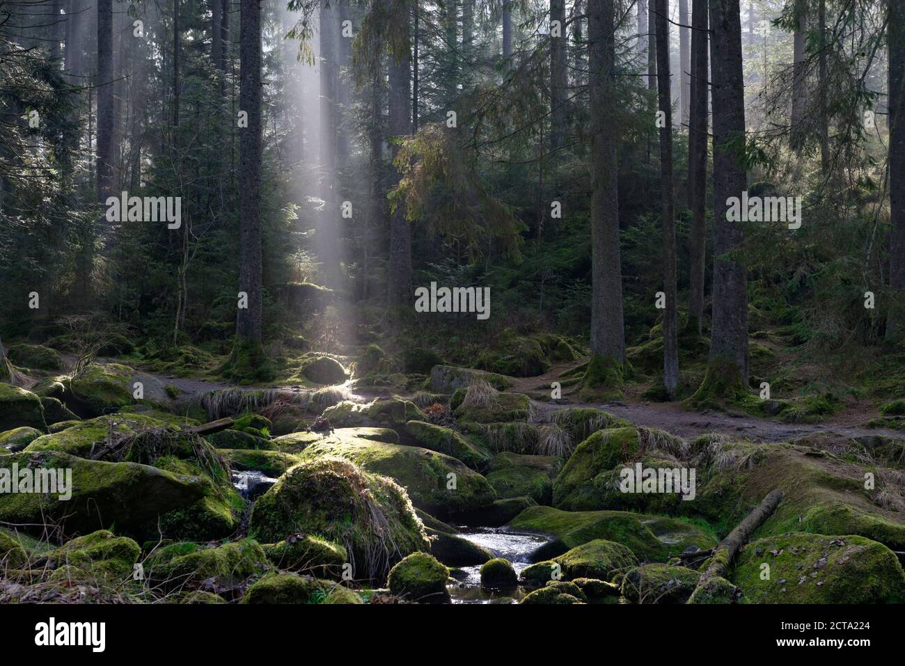 Germany, Bavaria, Lower Bavaria, Bavarian Forest, Waldkirchen, Saussbach gorge and sun beam Stock Photo