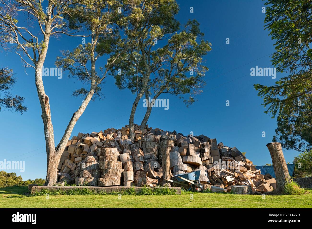 Australia, New South Wales, Dorrigo, pile of fire wood under trees Stock Photo