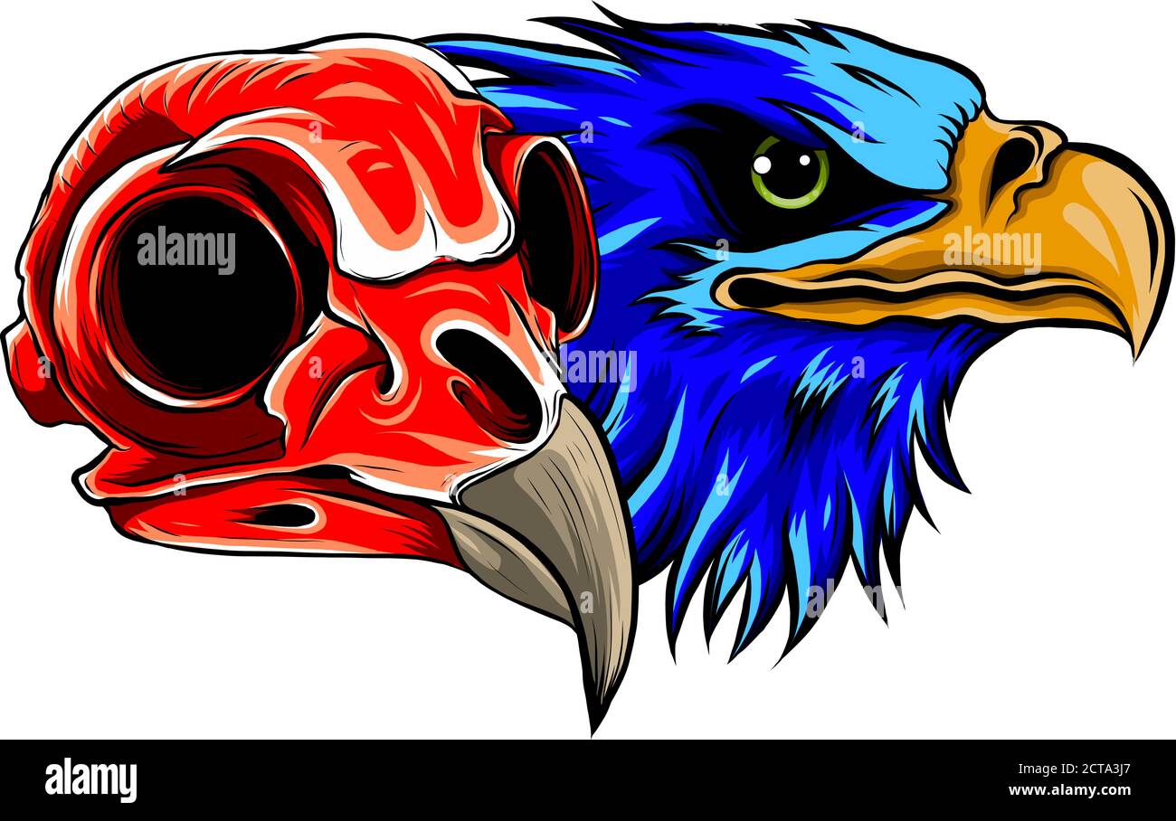 cartoon illustration of a bird skull vector Stock Vector