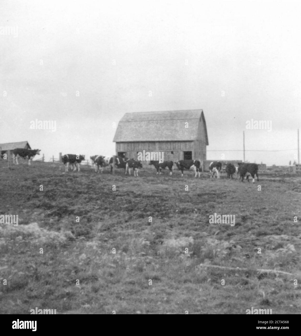Carstairs Alberta 2 Stock Photo Alamy