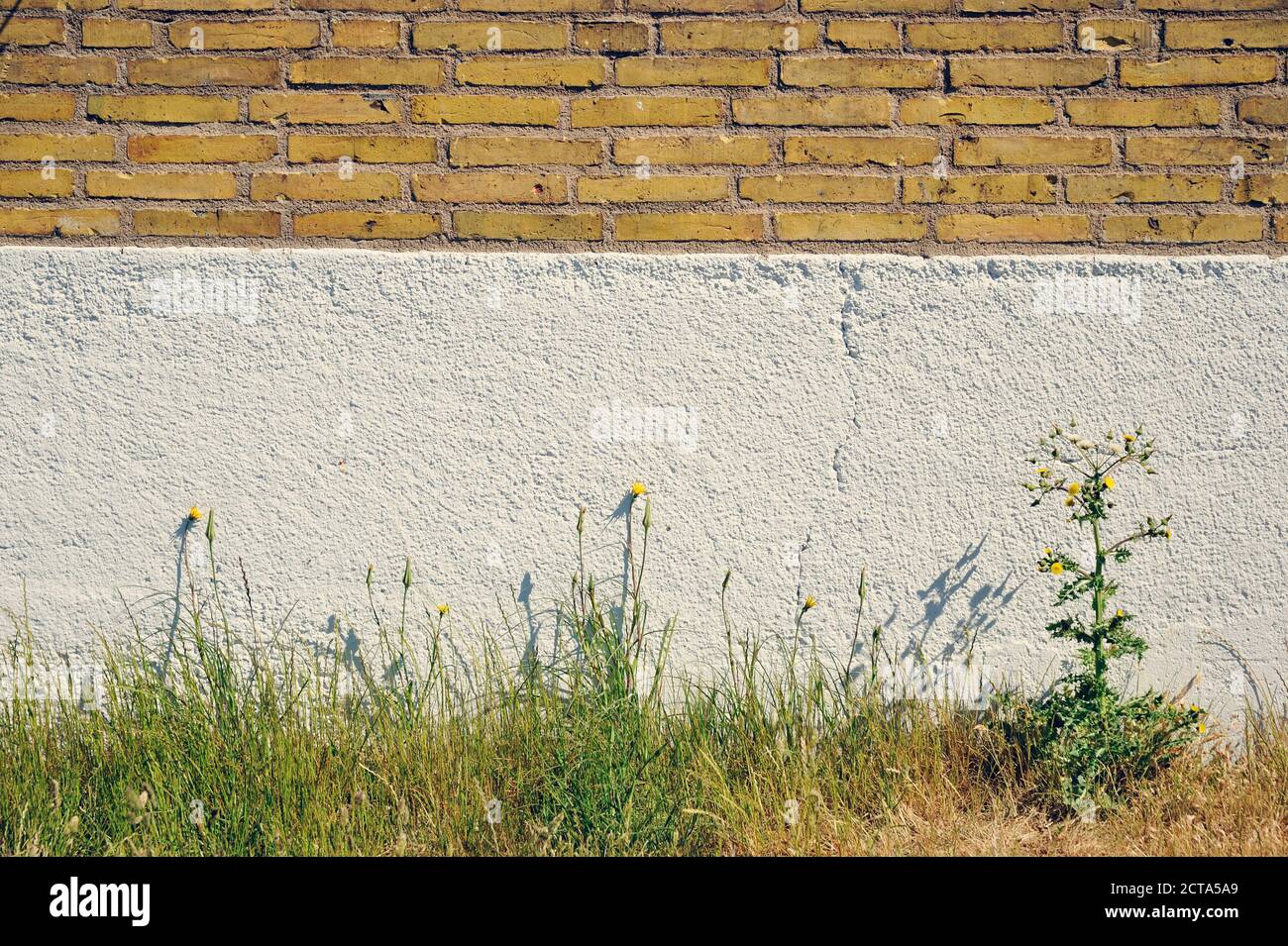 Weed house hi-res stock photography and images - Alamy