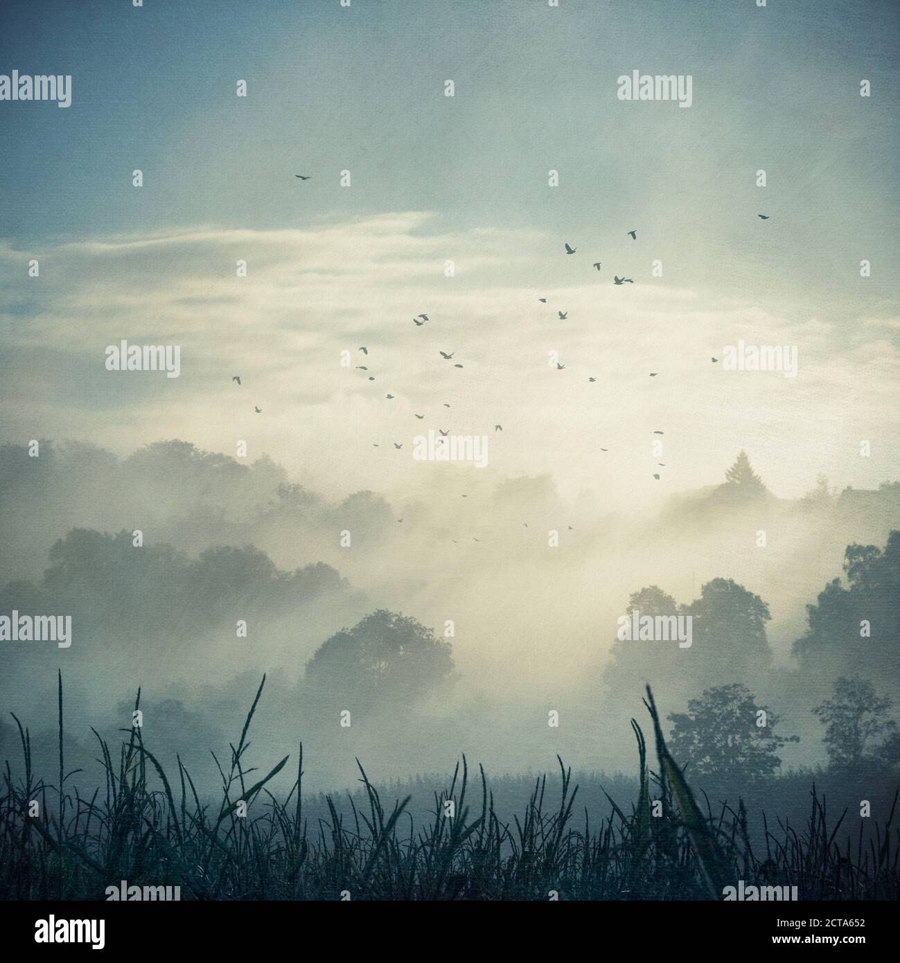 Misty landscape at backlight, composite Stock Photo