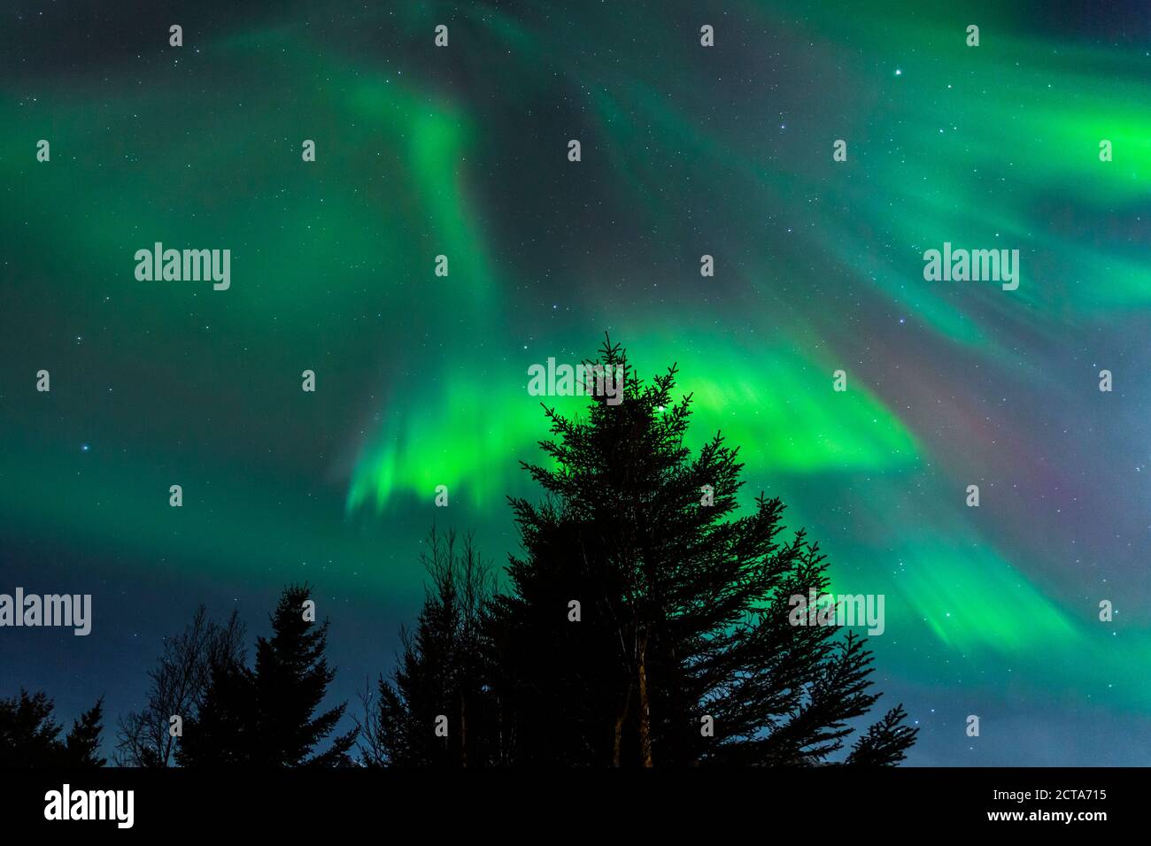 Norway, Lofoten, Polar lights (aurora borealis) on Gimsoy Stock Photo