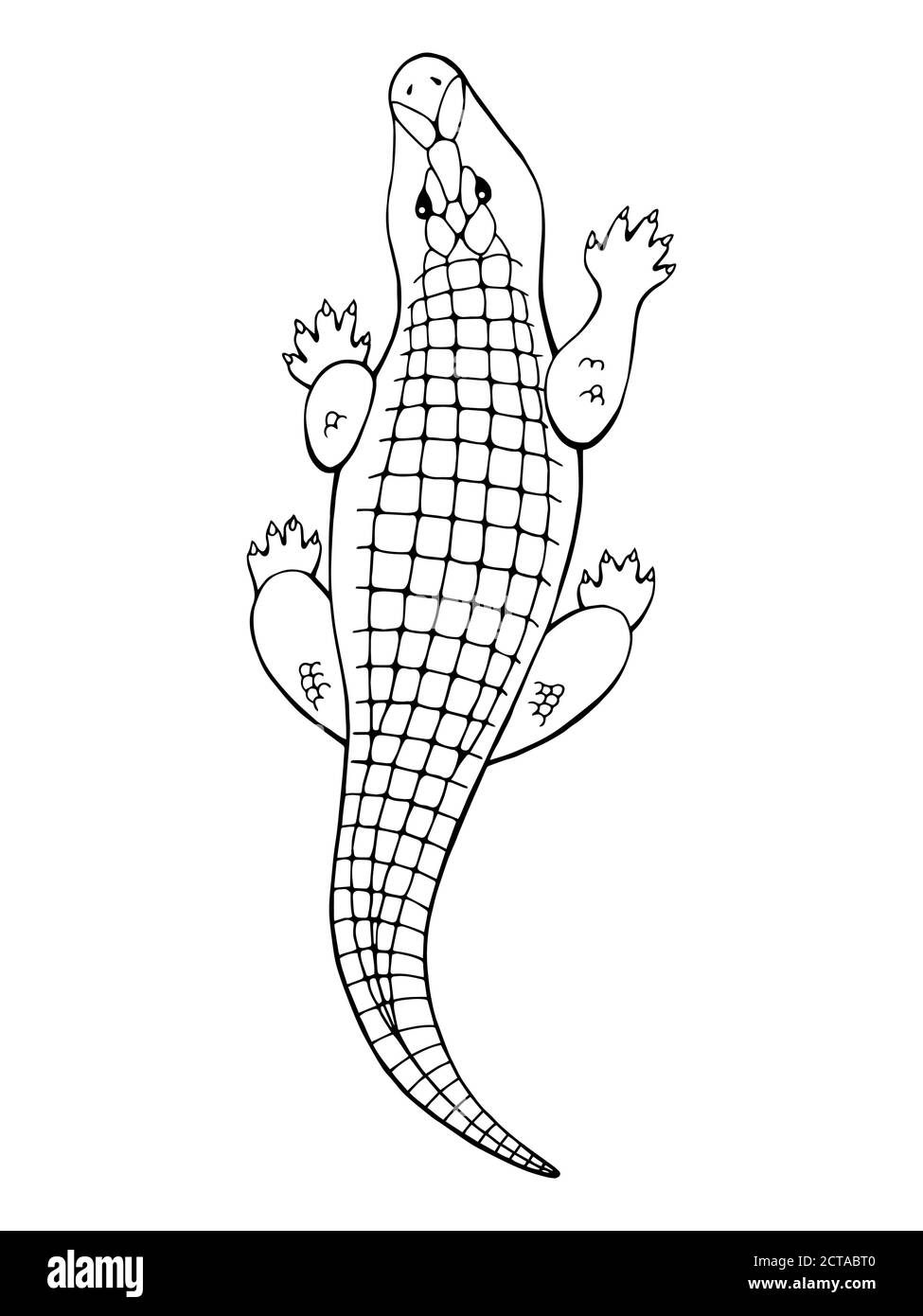 Crocodile animal graphic black white isolated illustration vector Stock Vector