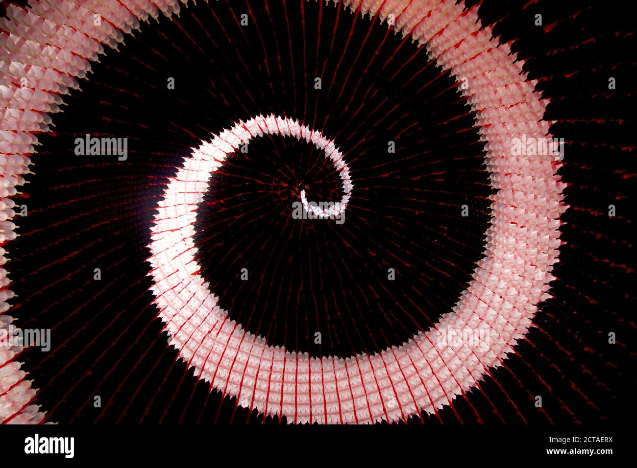 swirling vortex of balloons Stock Photo - Alamy