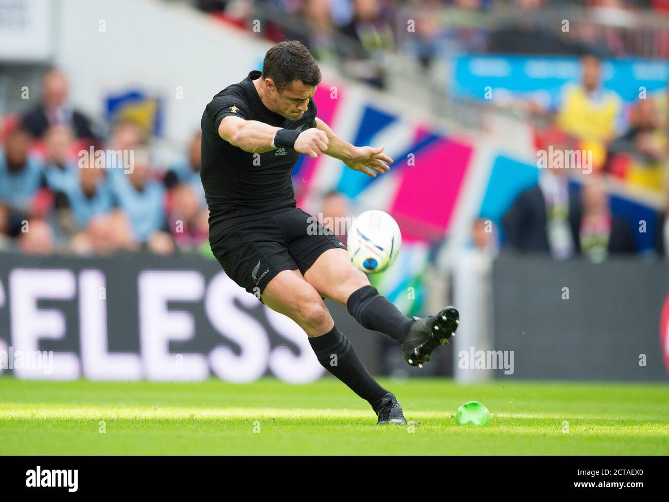DAN CARTER  New Zealand v Argentina Rugby World Cup 2015   Picture Credit : © MARK PAIN / ALAMY Stock Photo