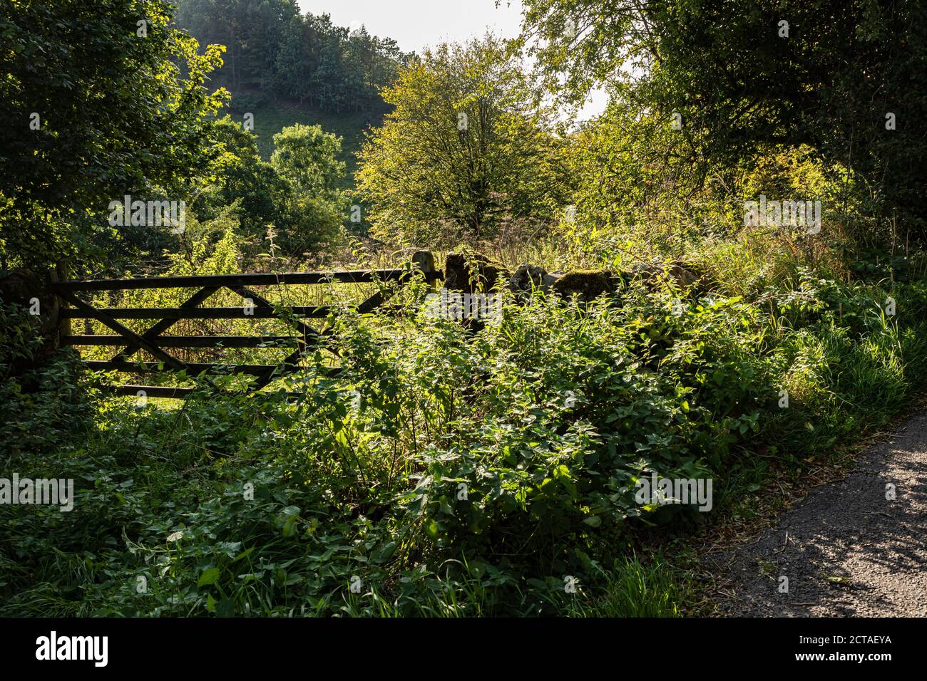 A littleused farm gate in a country lane near Bradbourne, Peak
