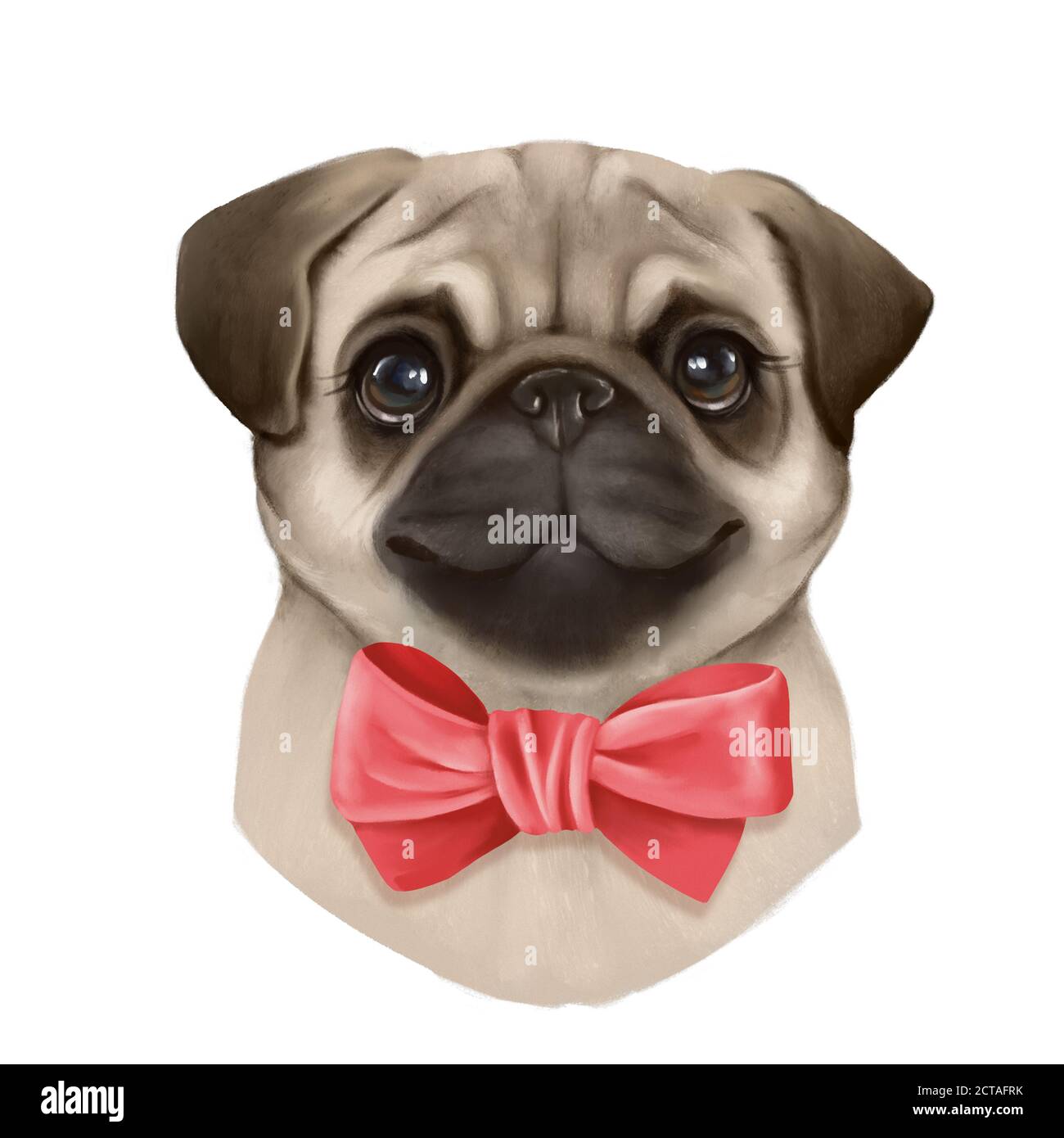Portrait of Cute Pug Dog with bow Stock Photo