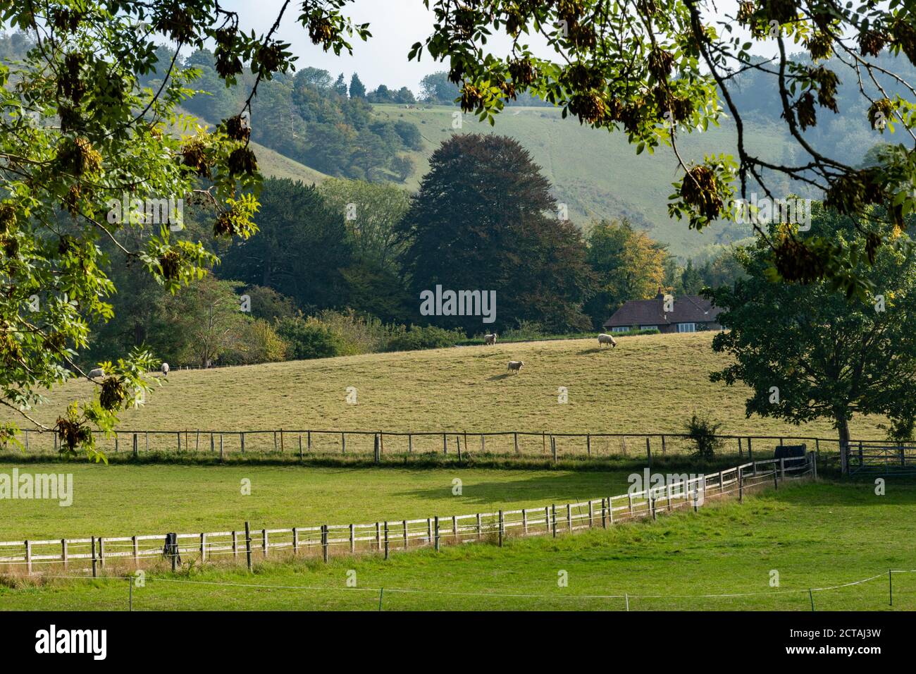 View across fields to Colley Hill and Reigate Hill in the Surrey Hills Area of Outstanding Natural Beauty and North Downs, UK, during September Stock Photo
