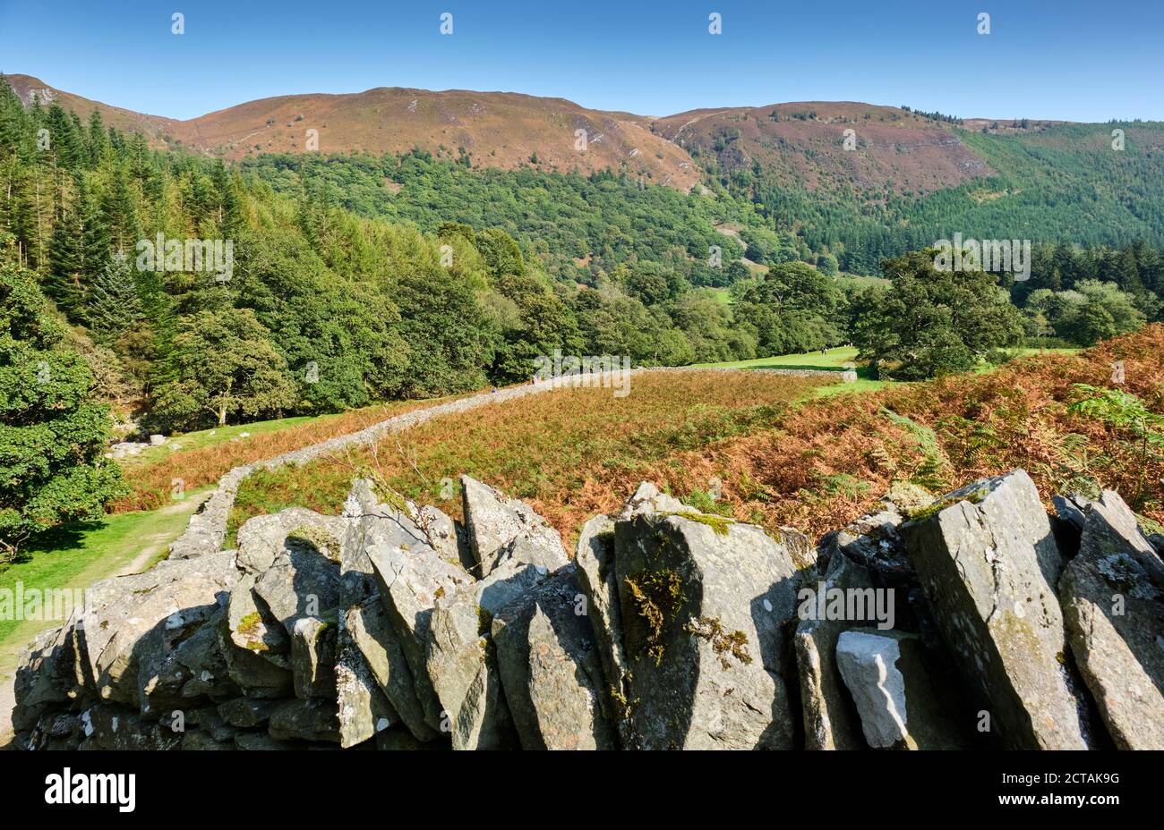 The path following the Afon Eiddew towards Lake Vyrnwy, Powys, Wales Stock Photo