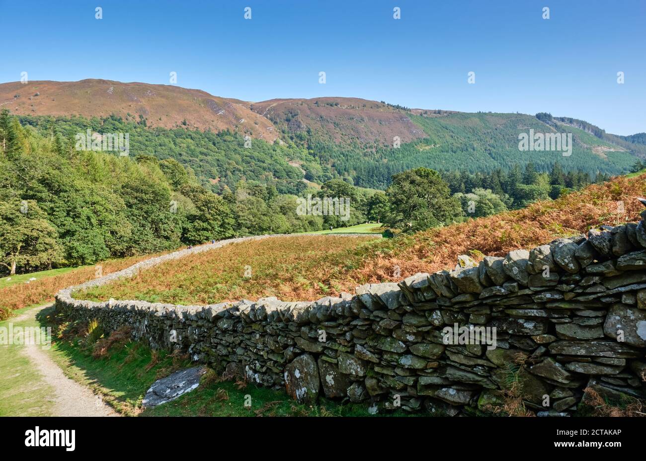 The path following the Afon Eiddew towards Lake Vyrnwy, Powys, Wales Stock Photo