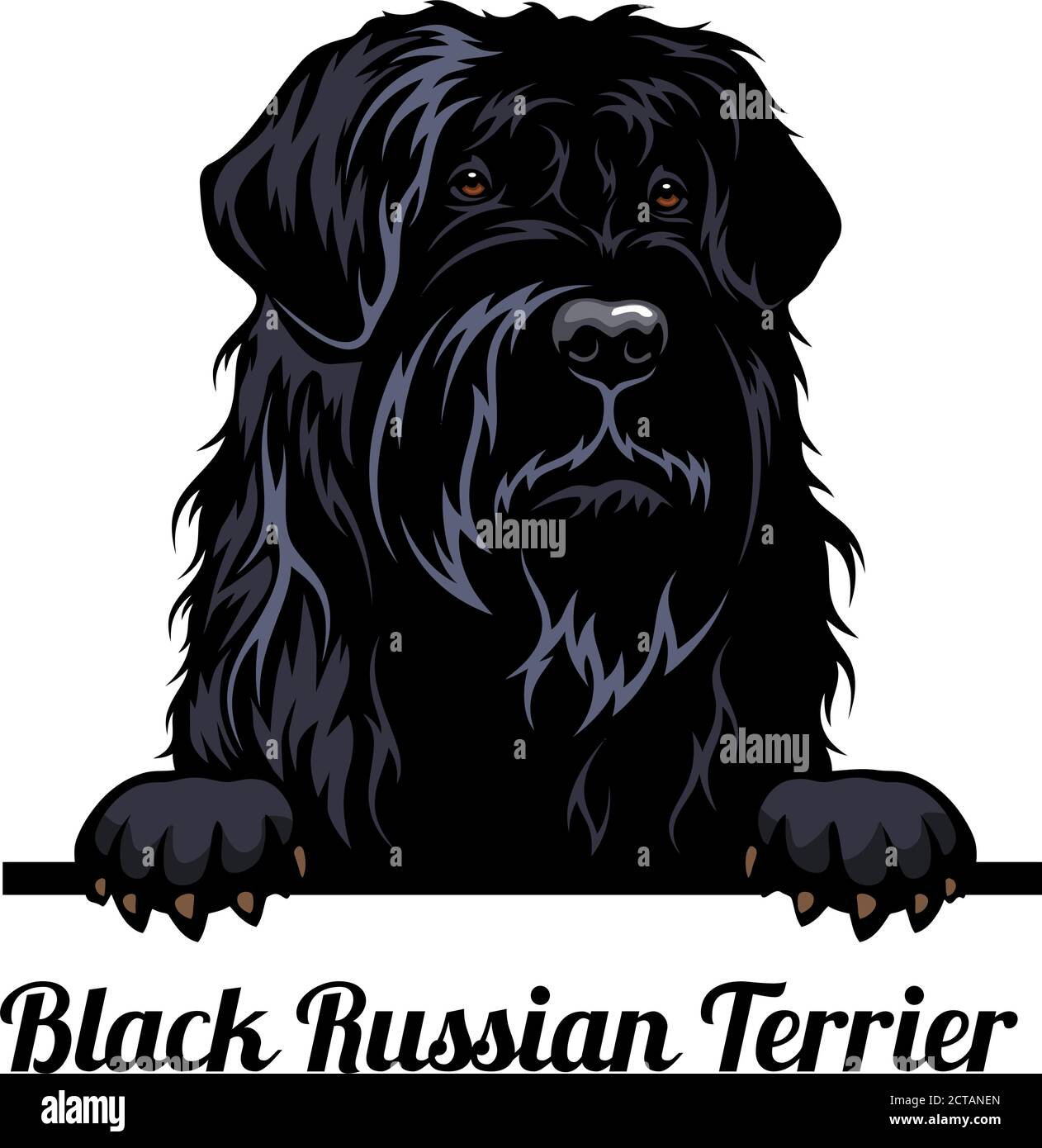 Peeking dog - Black Russian Terrier - dog breed. Color image of a dogs head isolated on a white background Stock Vector Image & Art - Alamy Peeking dog - Black Russian Terrier - dog breed. Color image of a dogs head isolated on a white background Stock Vector Image & Art - Alamy