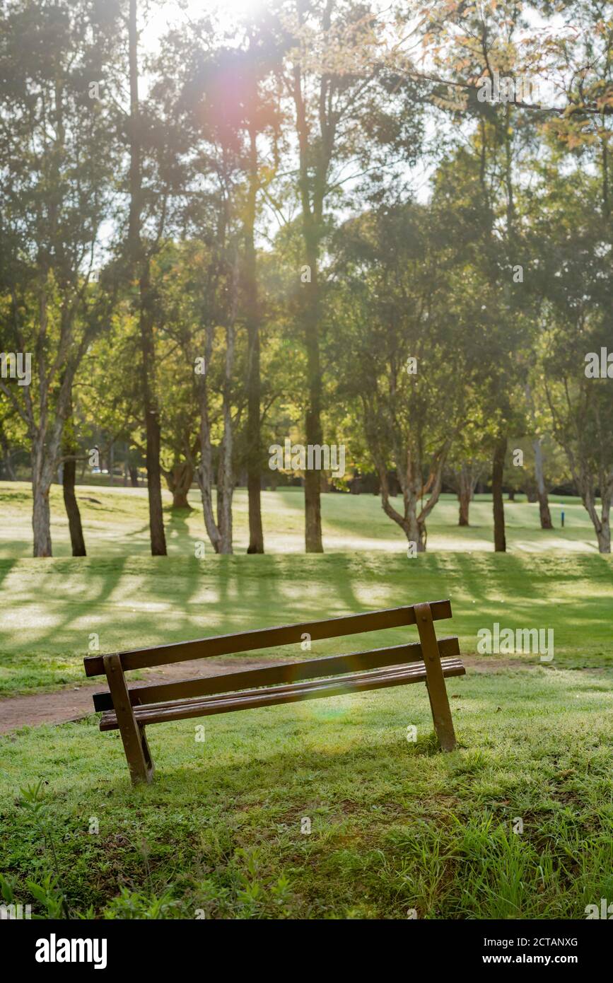 A park bench or seat sits at an awkward angle on the side of a hill on a golf course as morning sun shines through nearby trees Stock Photo