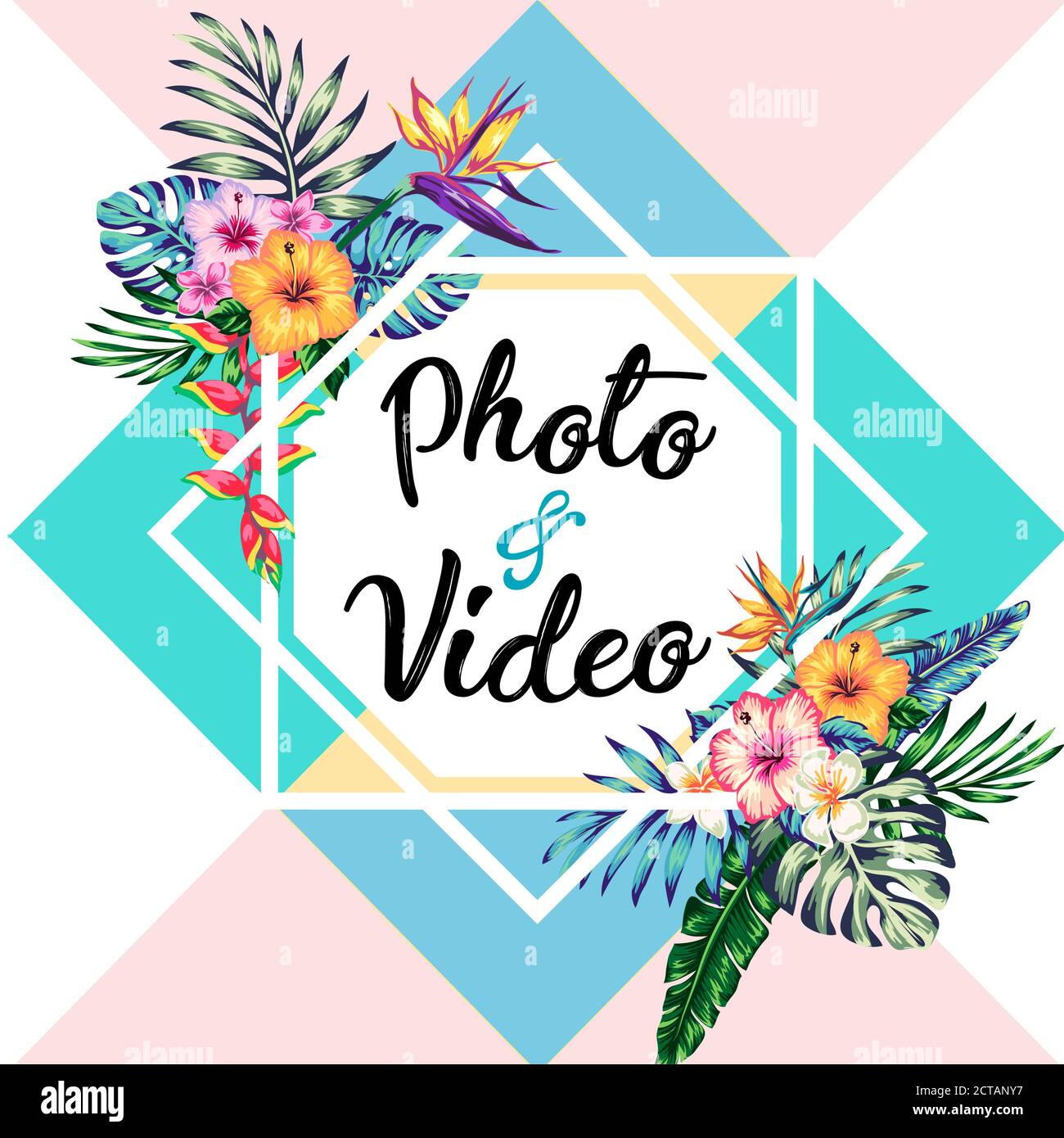 tropical collection with exotic flowers and leaves vector design ...