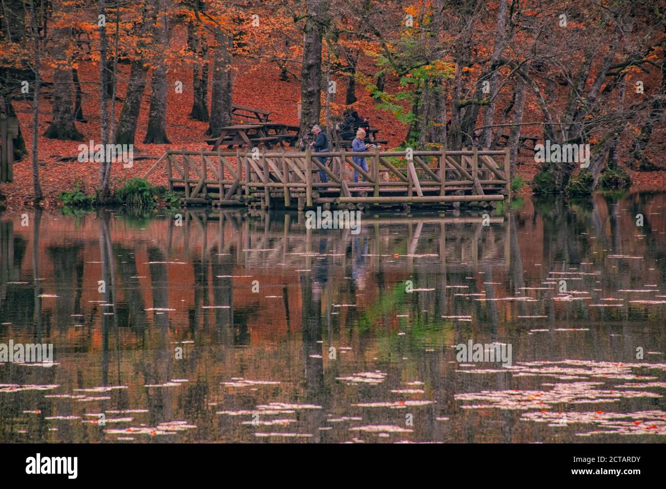 Autumn colors. Colorful fallen leaves in the lake. Magnificent landscape. Natonial Park. Photo taken on 10th November 2018 Yedigoller. Bolu, Istanbul, Stock Photo