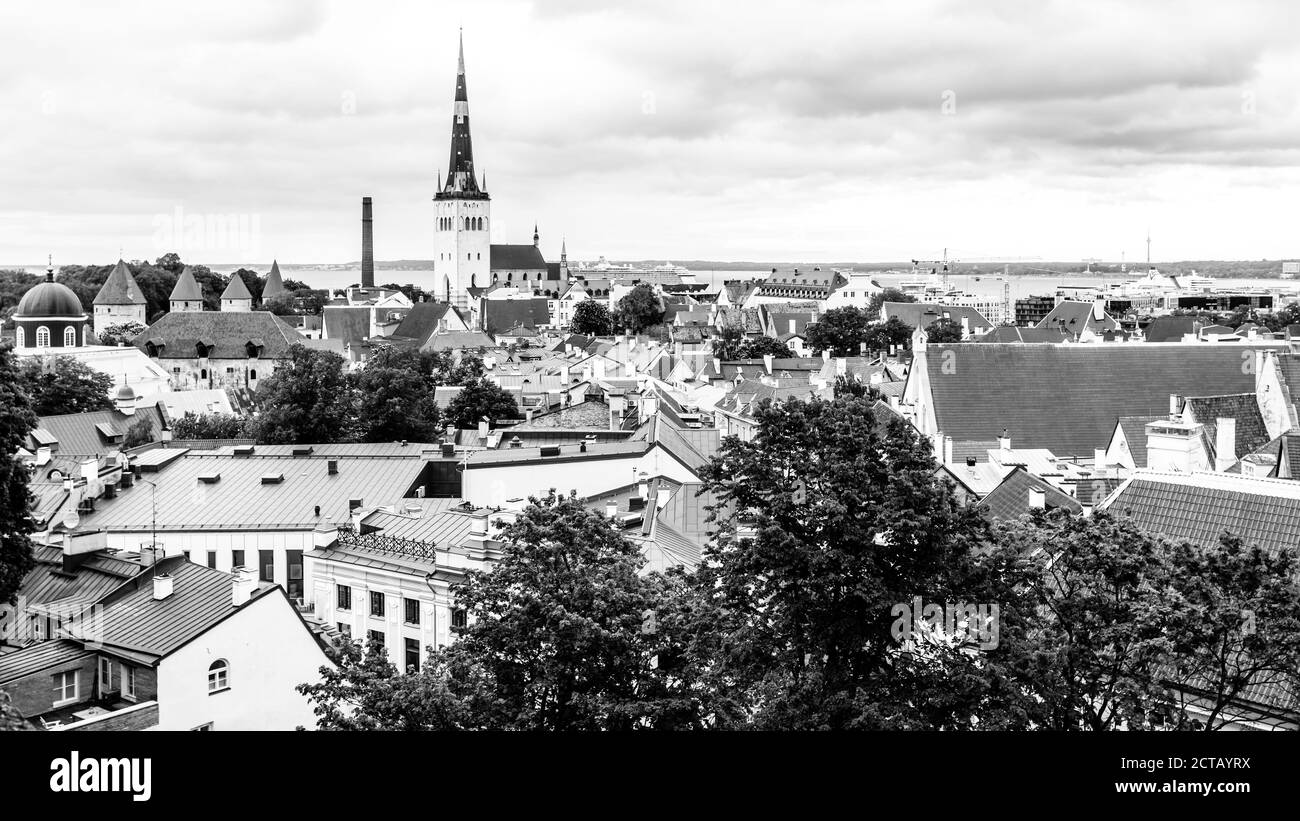 Black and white view of Old town of Tallinn in overcast weather. Tallinn, Estonia, Europe Stock Photo