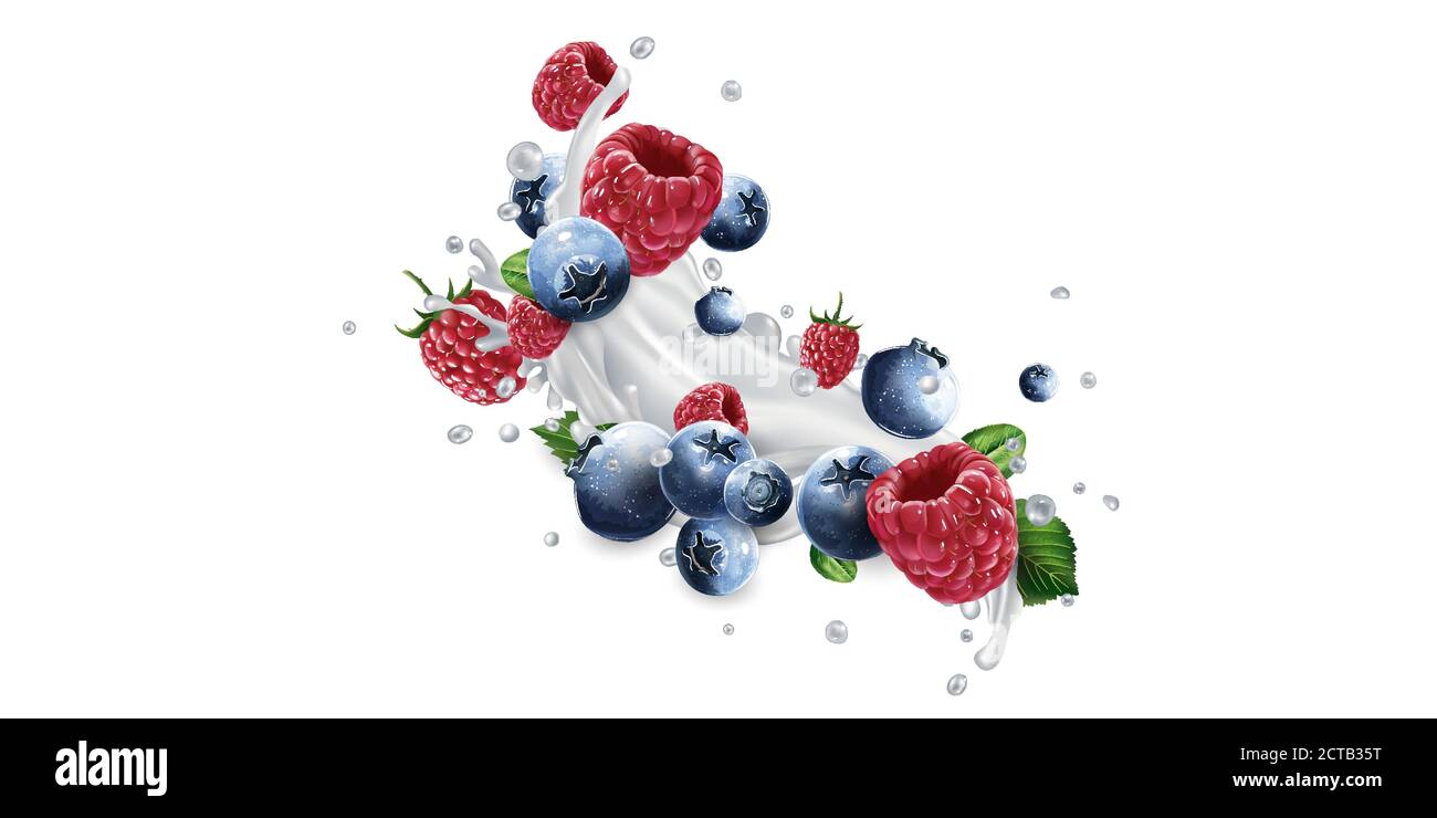 Blueberries and raspberries in splashes of milk or yogurt Stock Vector ...