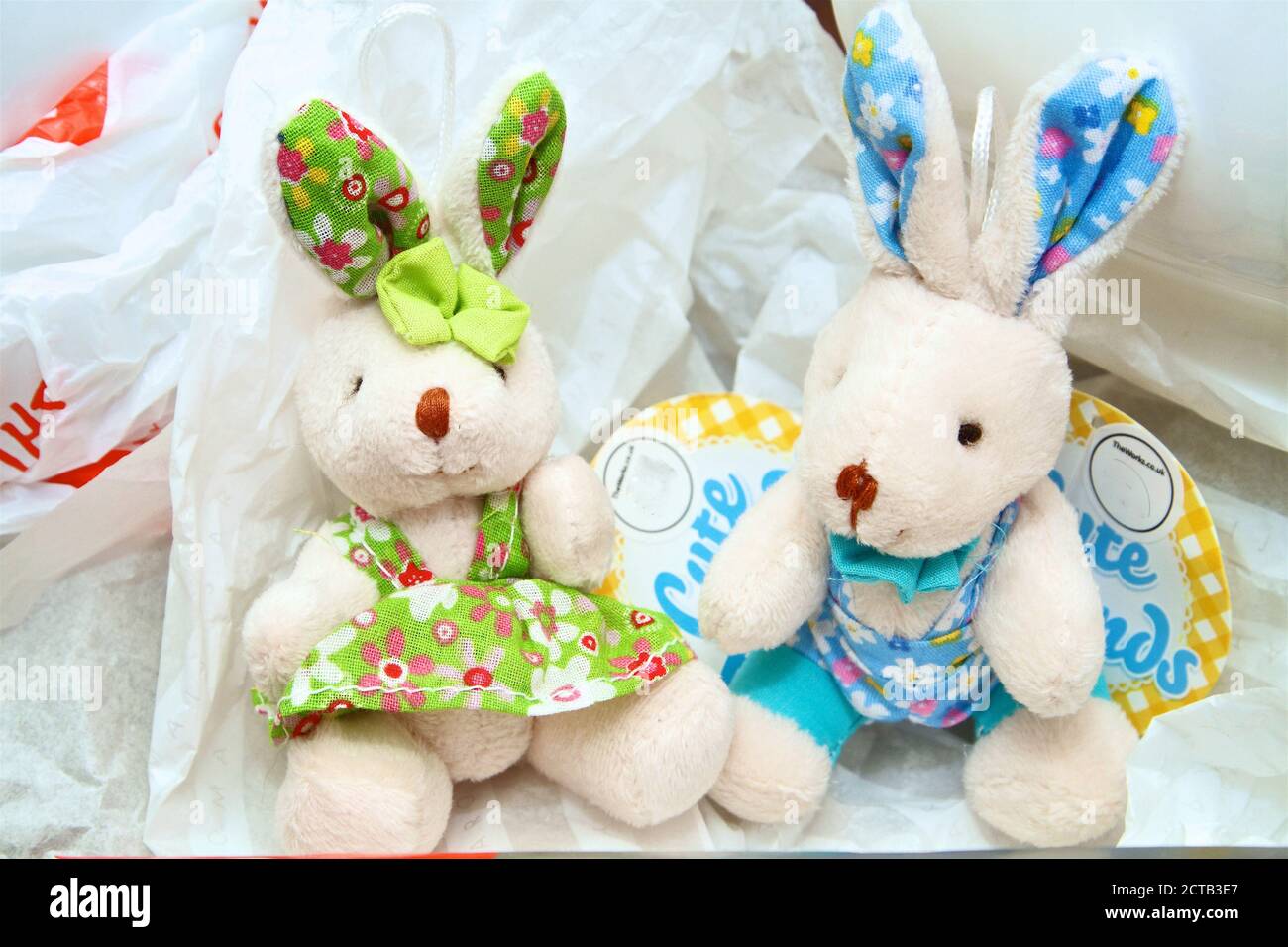 cuddly easter bunny