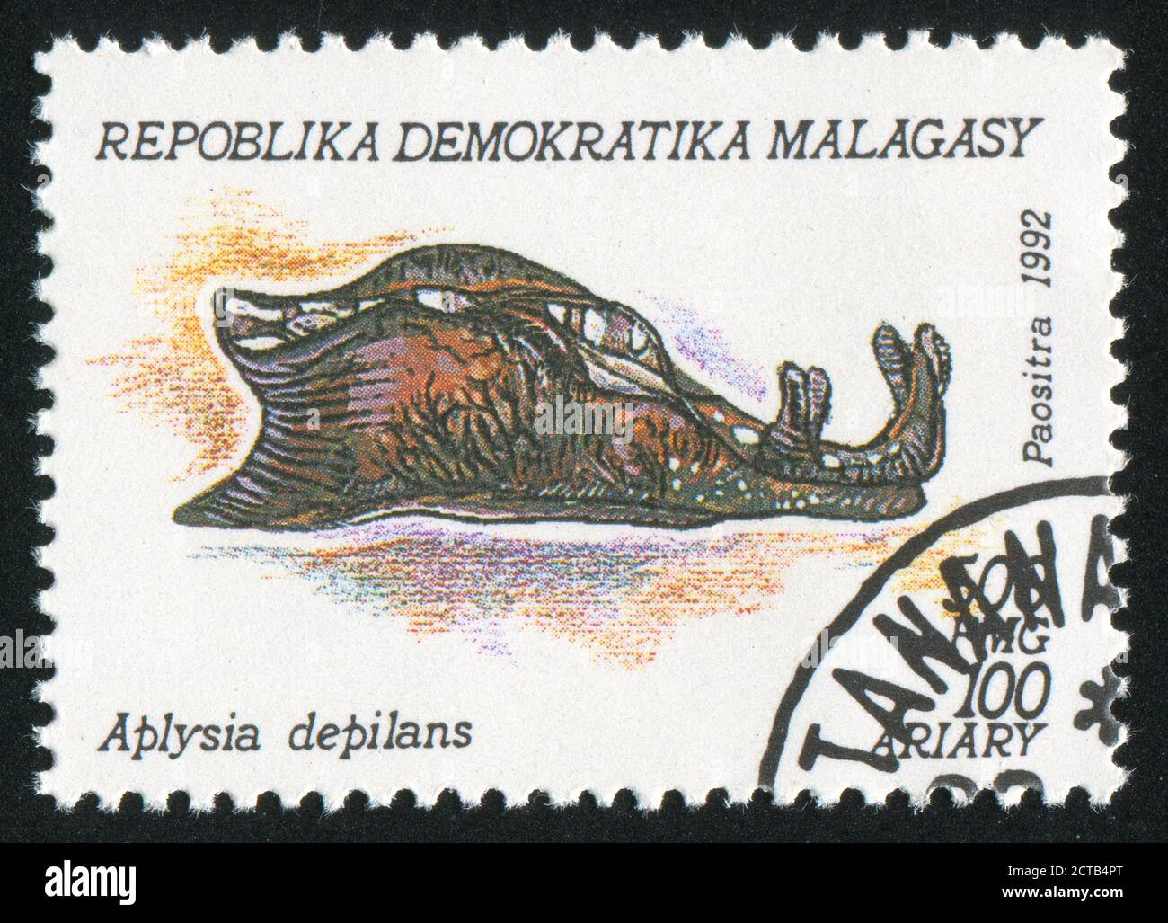 MALAGASY CIRCA 1993: stamp printed by Malagasy, shows Sea slug, circa 1993 Stock Photo