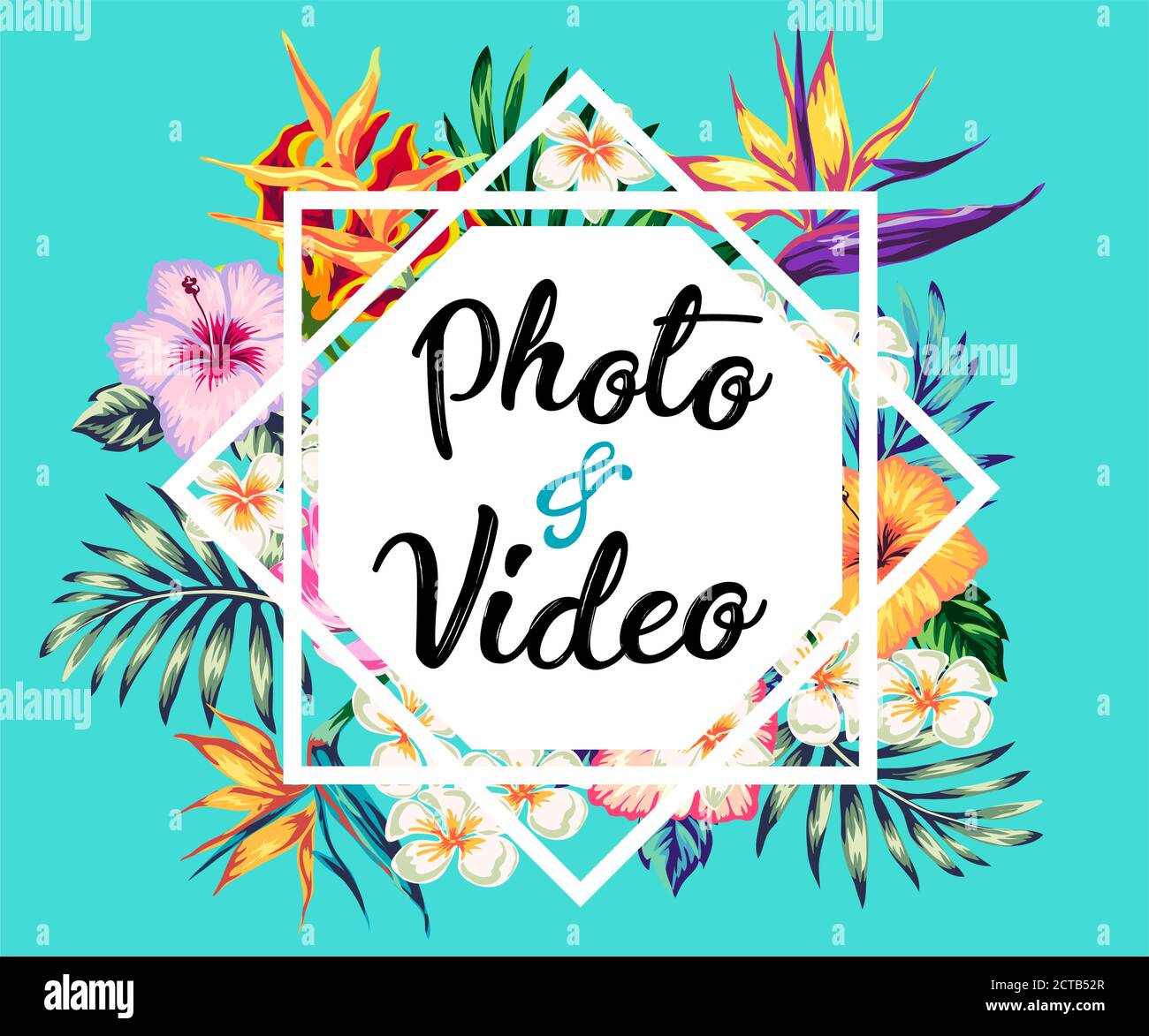 tropical collection with exotic flowers and leaves vector design ...