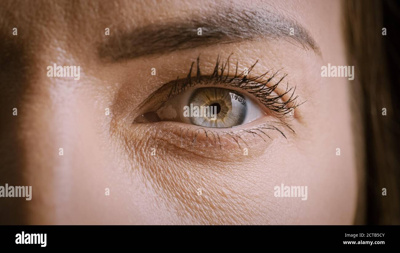 Close Up Macro Shot of an Eye. Young Beatiful Female with Opened Eye ...