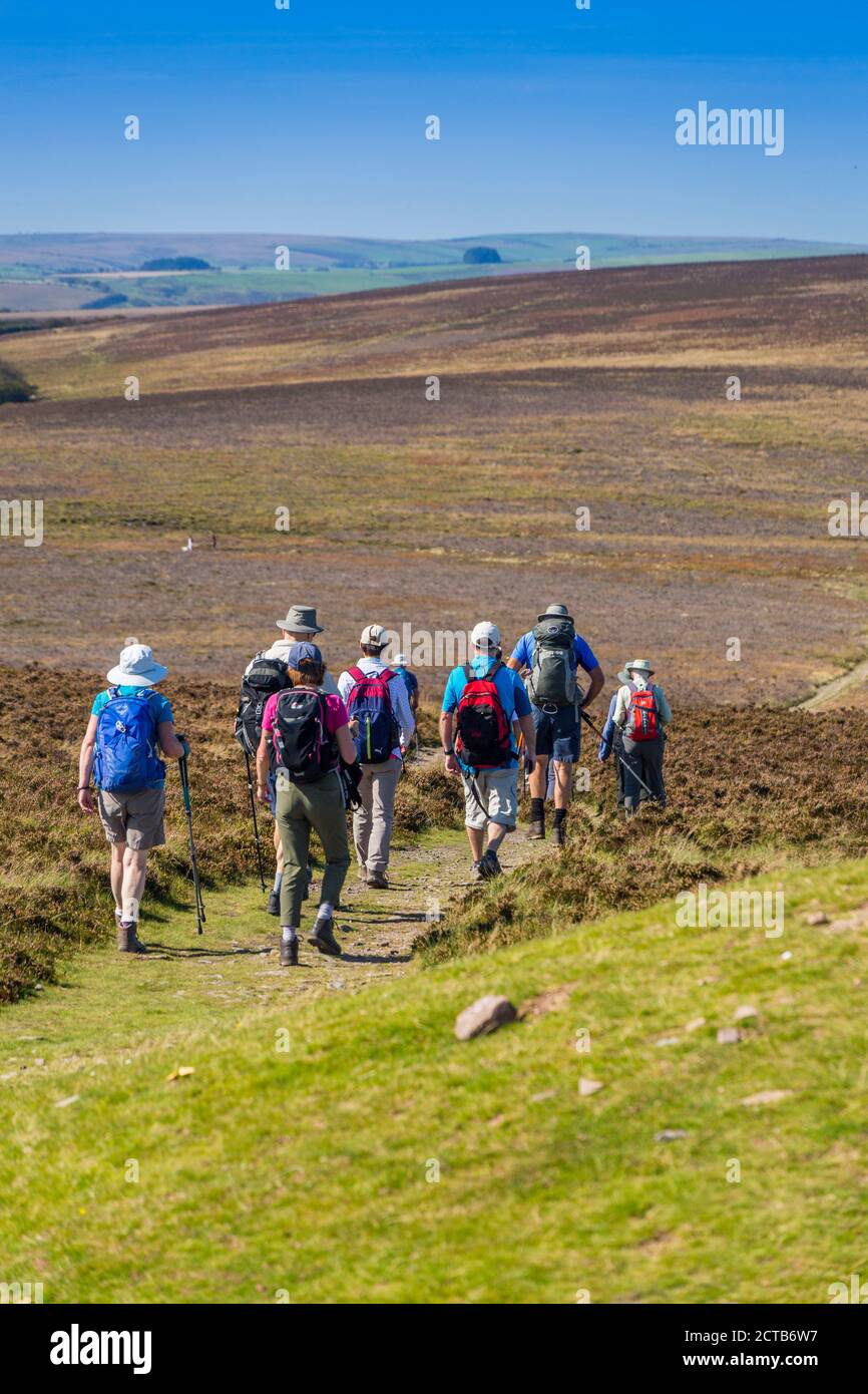 A walking group set off towards Great Rowbarrow from Dunkery Beacon – the highest point in Somerset and Exmoor National Park(1,705ft), England, UK Stock Photo