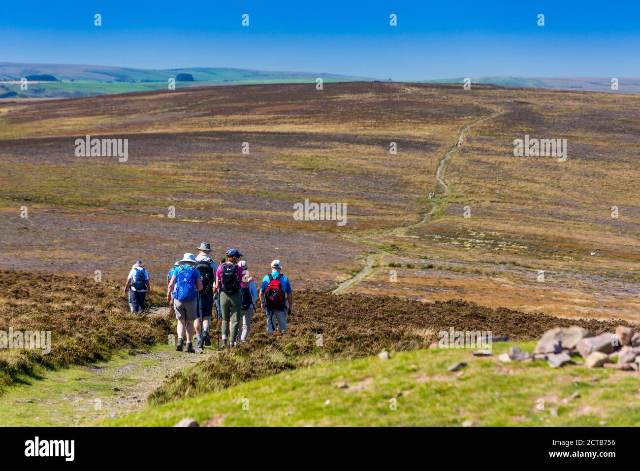 A walking group set off towards Great Rowbarrow from Dunkery Beacon – the highest point in Somerset and Exmoor National Park(1,705ft), England, UK Stock Photo