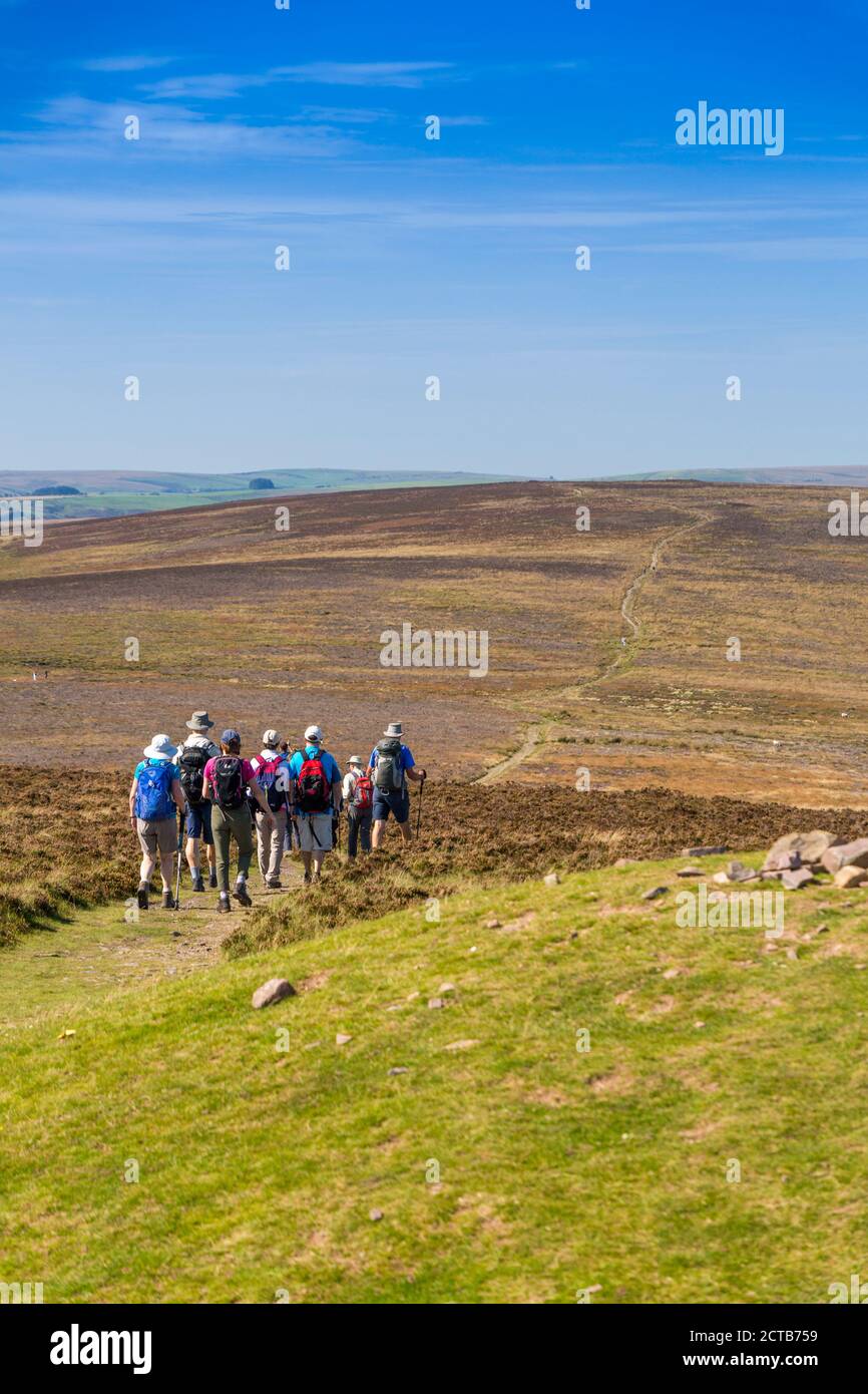 A walking group set off towards Great Rowbarrow from Dunkery Beacon – the highest point in Somerset and Exmoor National Park(1,705ft), England, UK Stock Photo