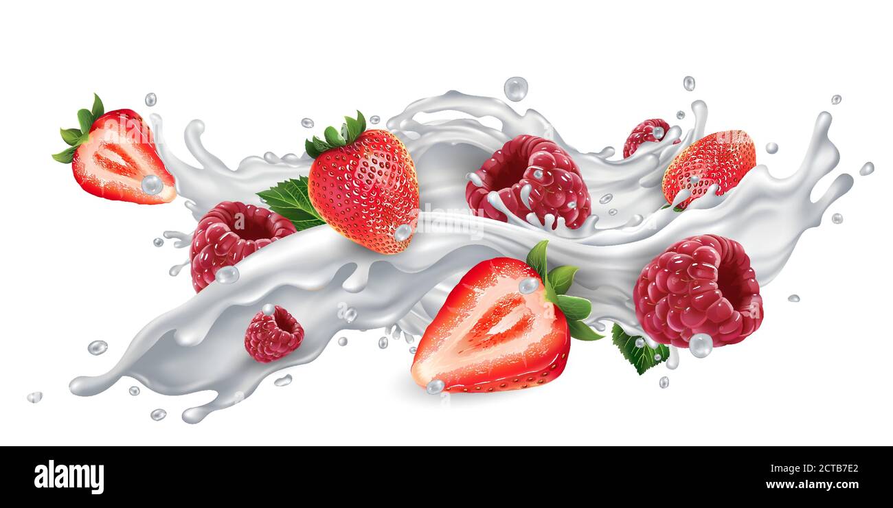 Strawberries and raspberries in a milk or yogurt splash Stock Vector Image  \u0026 Art - Alamy, image size:1300x740