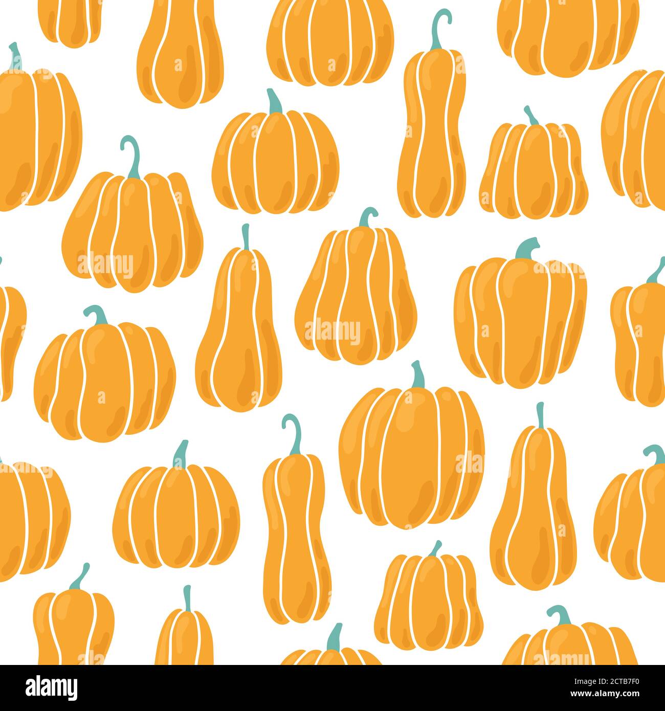 Pumpkin seamless pattern. Pumpkins of different shapes. Hand drawn ...