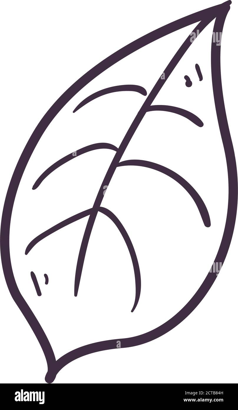 Isolated leaf line style icon design of Natural floral nature and plant ...