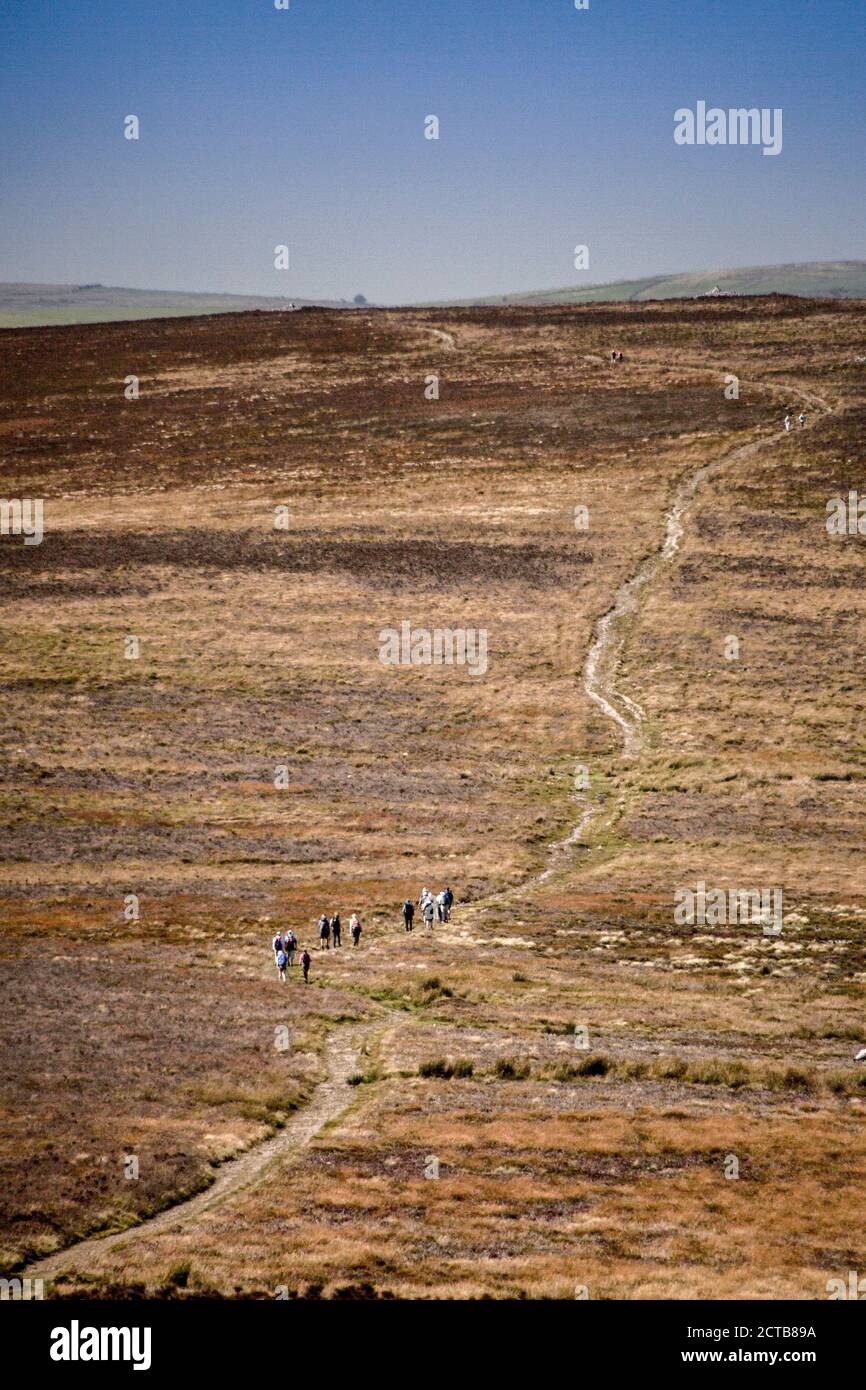 A walking group crossing open moorland between Great Rowbarrow and Dunkery Beacon – the highest point in Somerset and Exmoor National Park, England UK Stock Photo