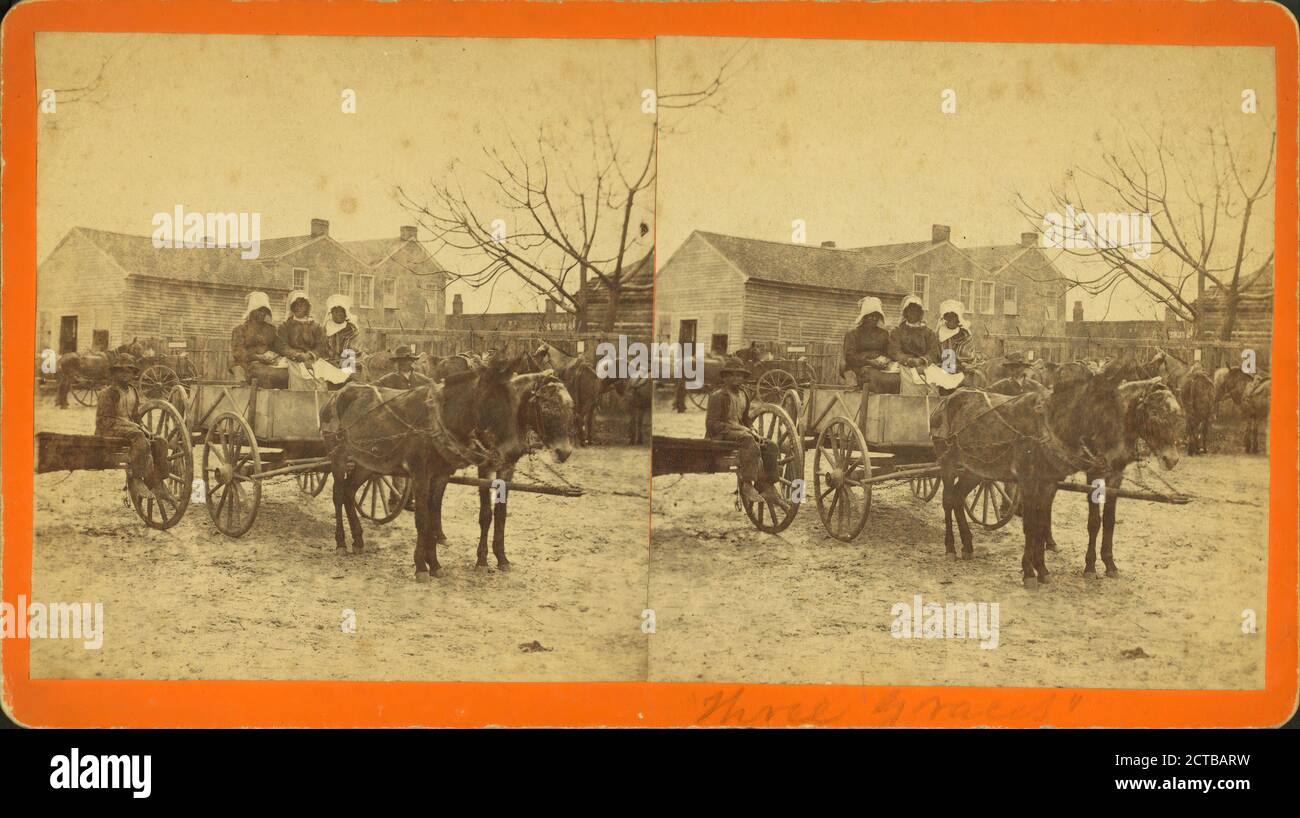 Three graces. Three women in a mule cart., 1868 Stock Photo