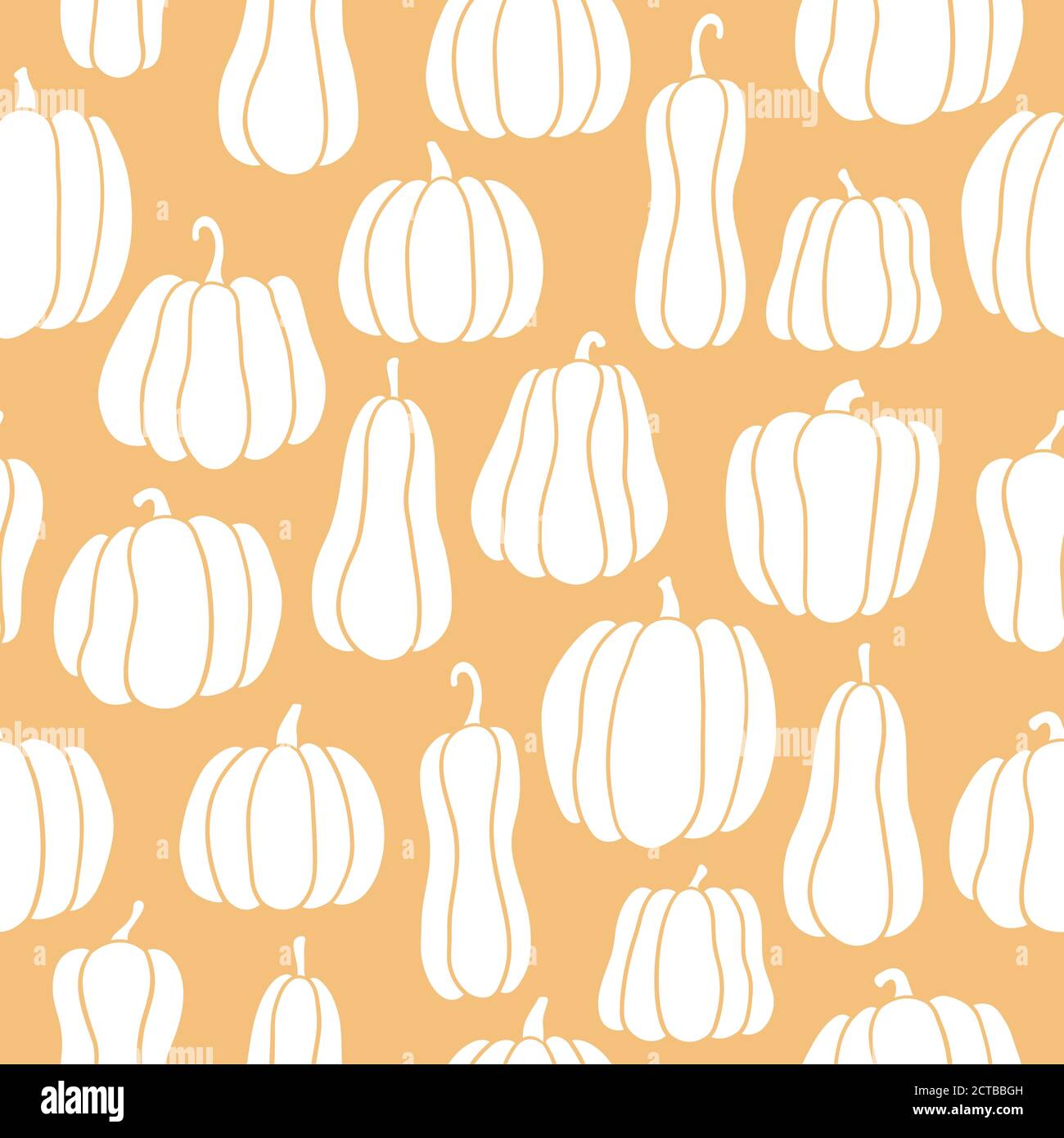 Pumpkin seamless pattern. White pumpkins of different shapes. Hand ...