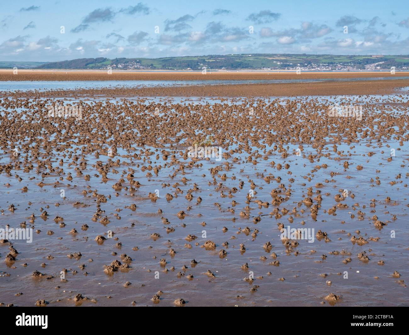 Lugworm or sandworm casts on the beach at low tide on Whiteford Sands ...