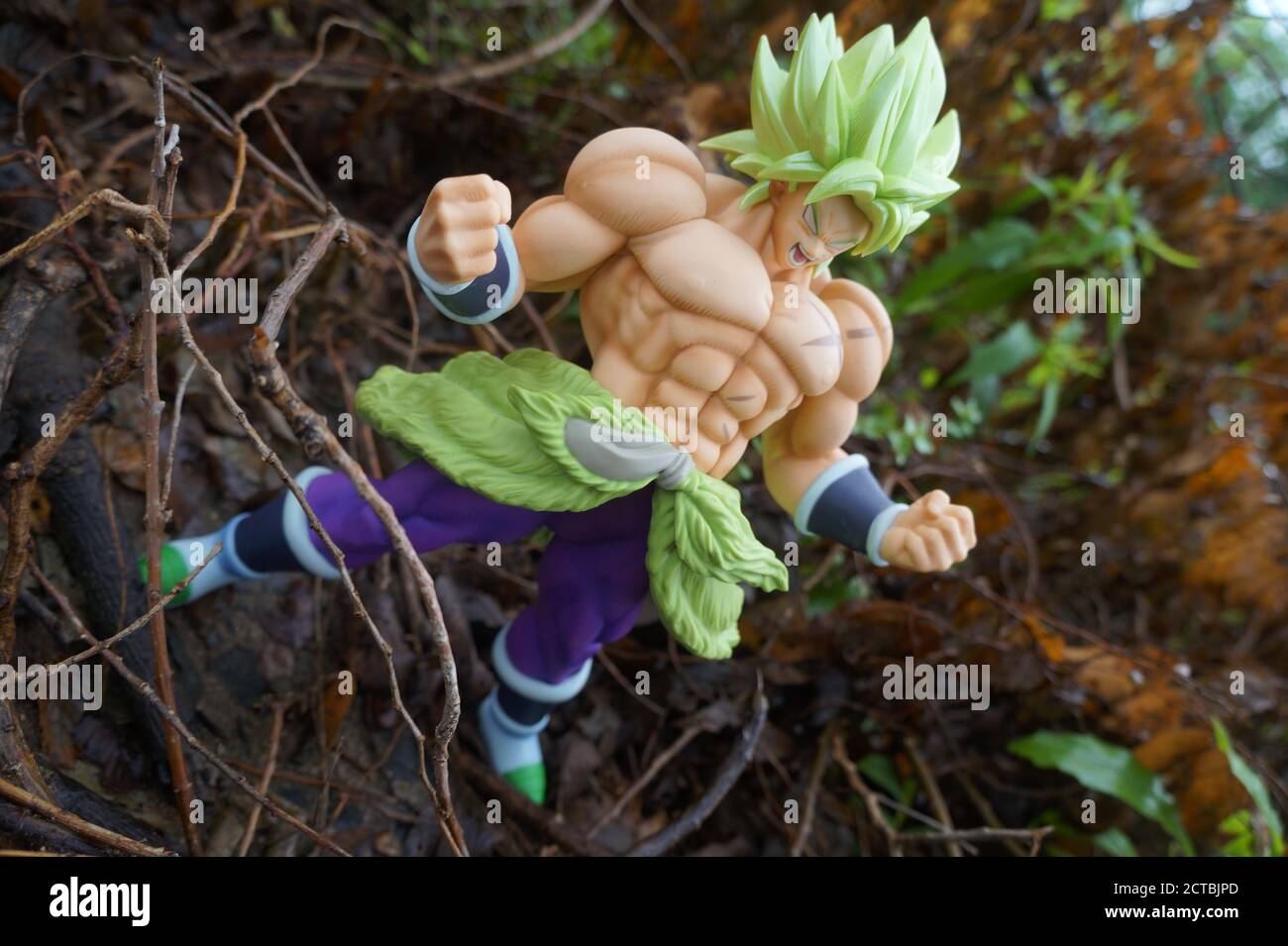 Earth Protector's Stock Photo Alamy