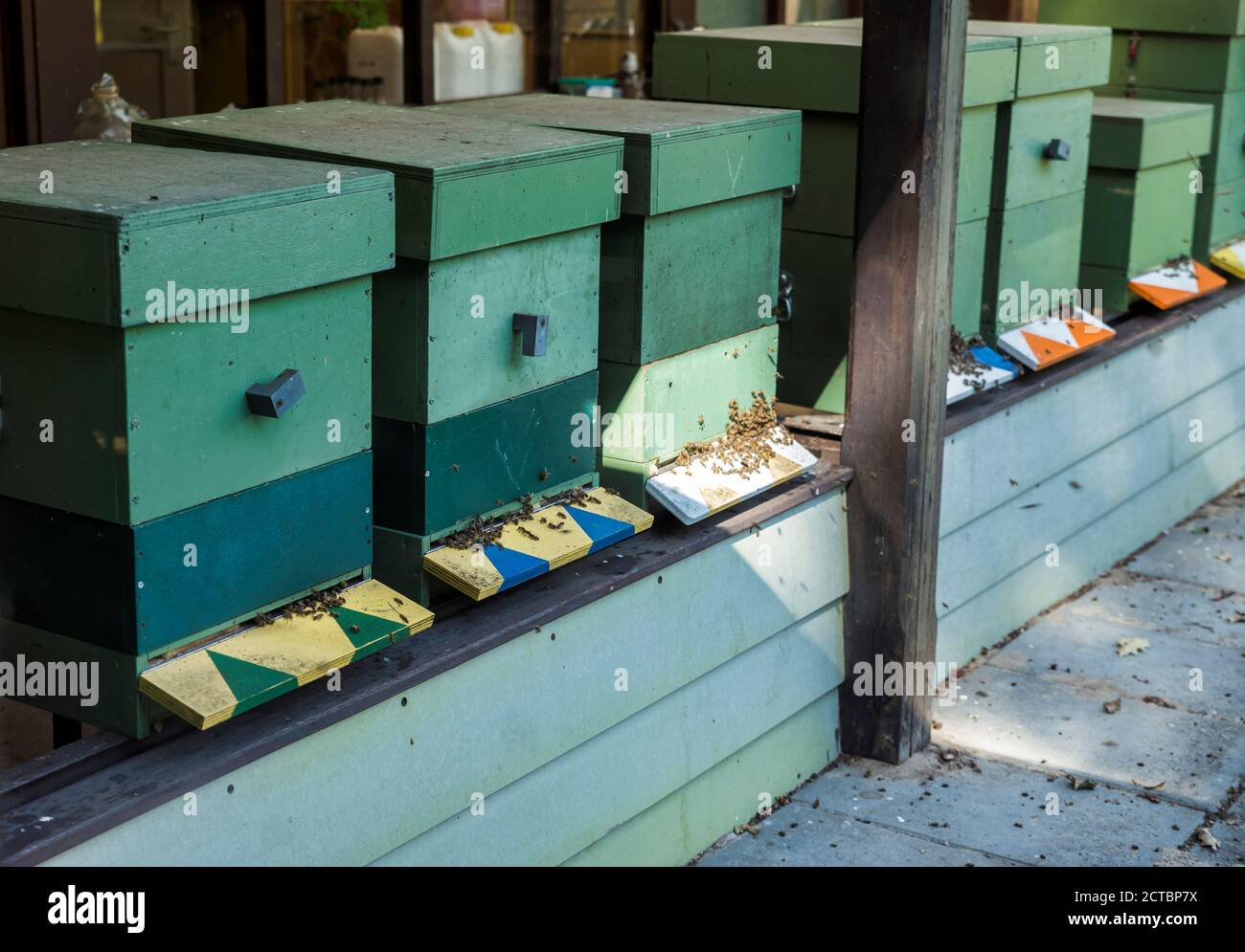 Traditional wooden hives for beeholding in a garden with plants and flowers special for the bees and insects Stock Photo