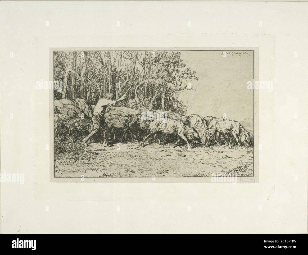 Troupeau de porcs sortant d'un bois., still image, Prints, 1849 Stock Photo
