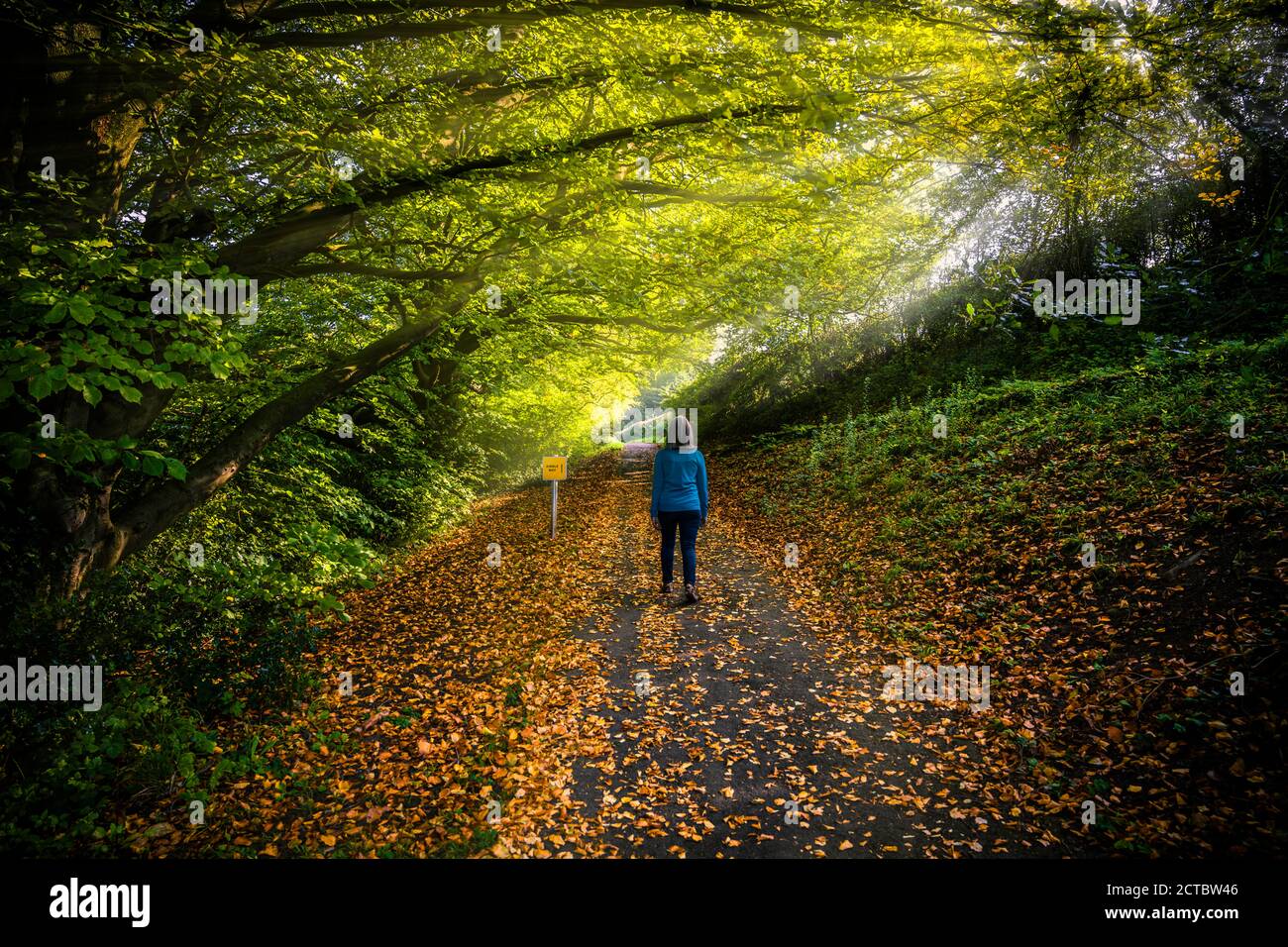 Mature female taking an autumnal walk in Brungerley Park, Clitheroe, Ribble Valley, UK. Stock Photo