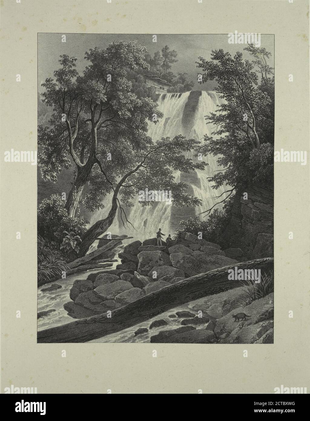 Falls on the Flint River, still image, Prints, 1828 - 1829, Milbert, Jacques Gérard (1766-1840 Stock Photo