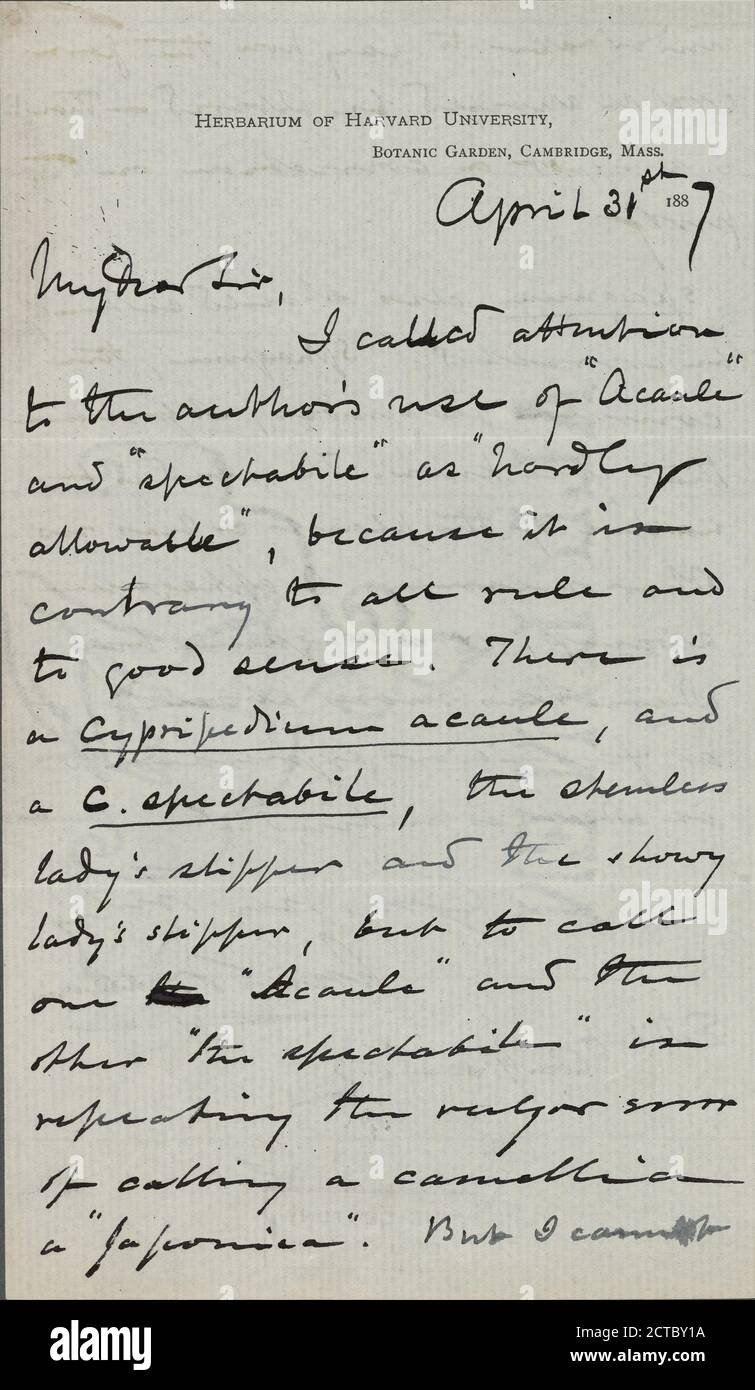 Watson, Sereno, text, Correspondence, 1887 Stock Photo