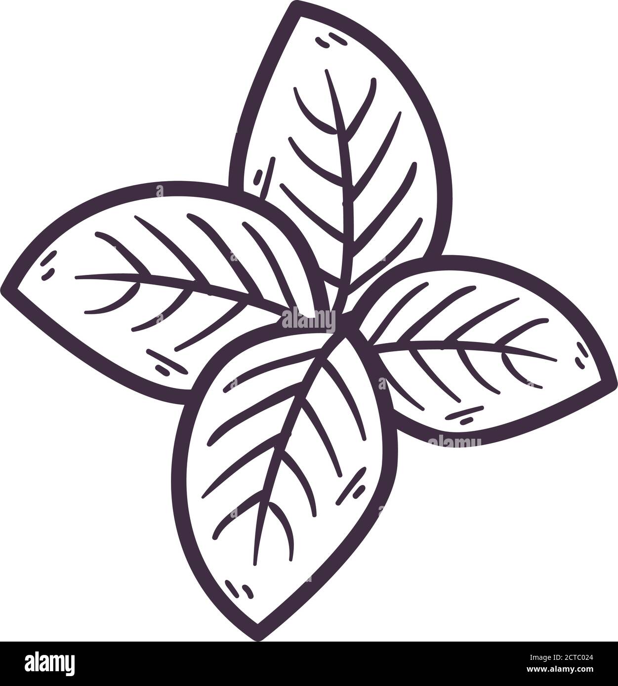Isolated leaves line style icon design of Natural floral nature and ...