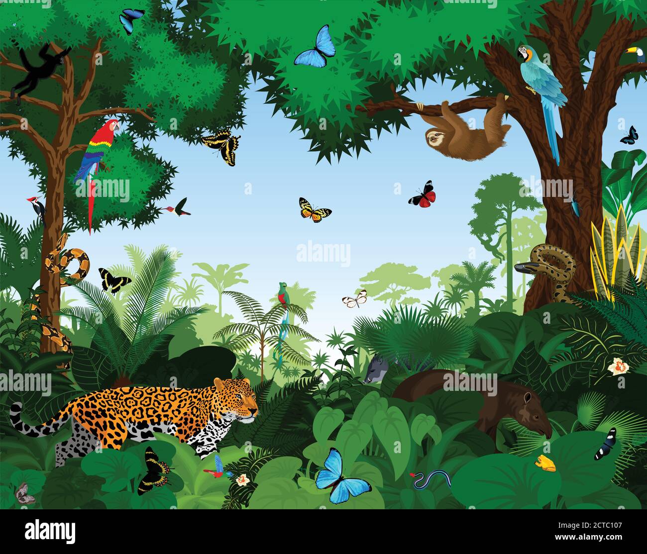 Rainforest with animals vector illustration. Vector Green Tropical Forest jungle with parrots, jaguar, tapir, sloth, anaconda and butterflies. Stock Vector