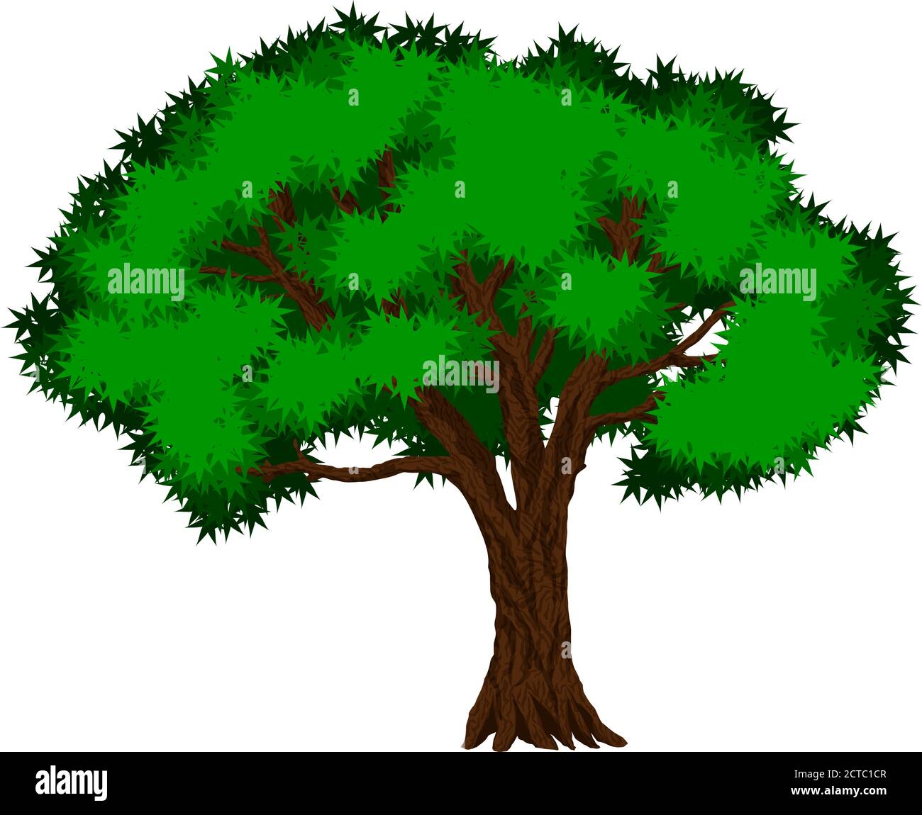Kapok Tree Clip Art