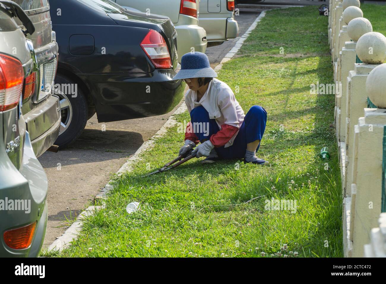 Women weed and hand cut the grass with hand shears in Pyongyang, North Korea Stock Photo