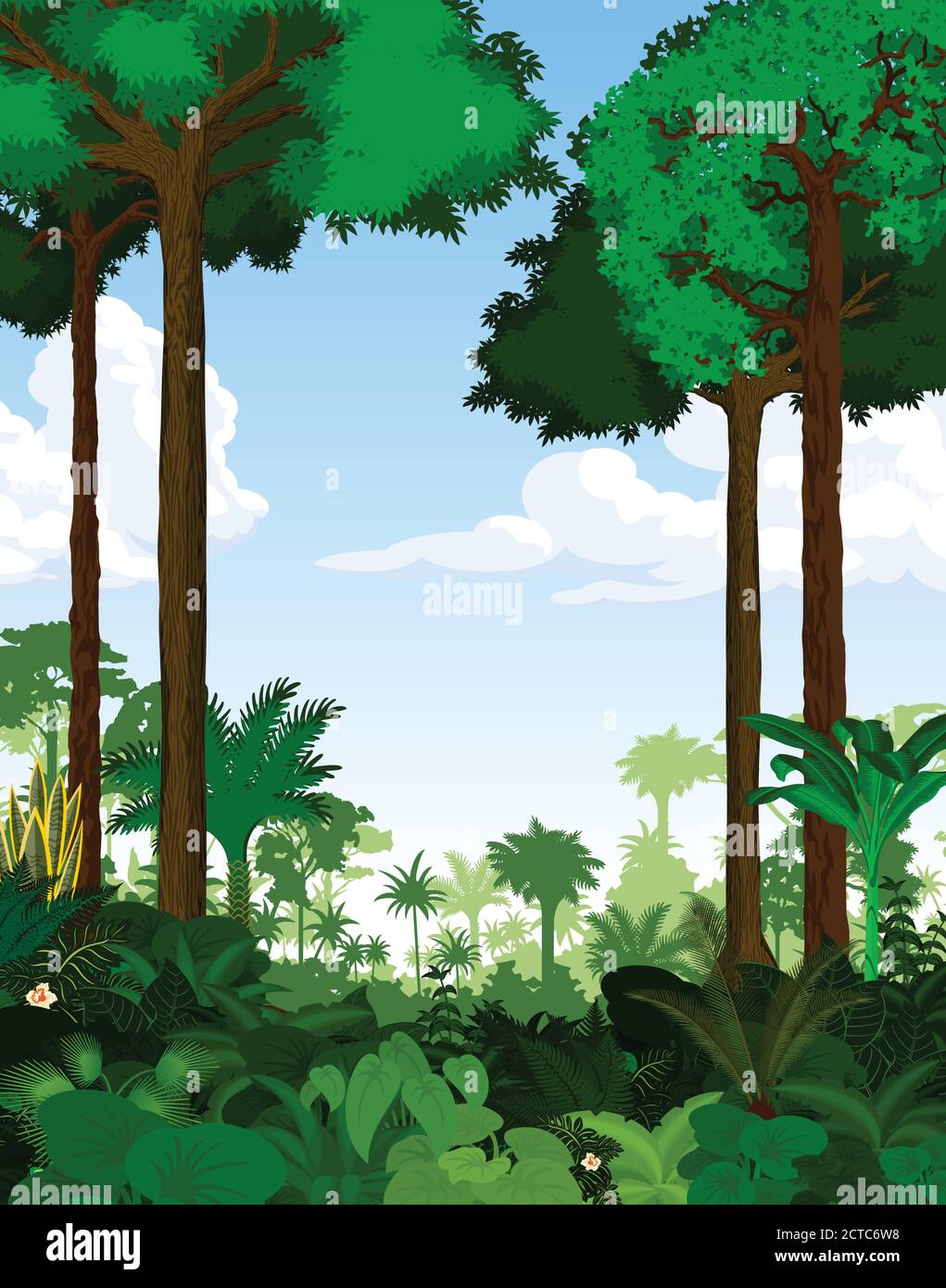 Rainforest vector illustration. Vector Green Tropical Forest jungle