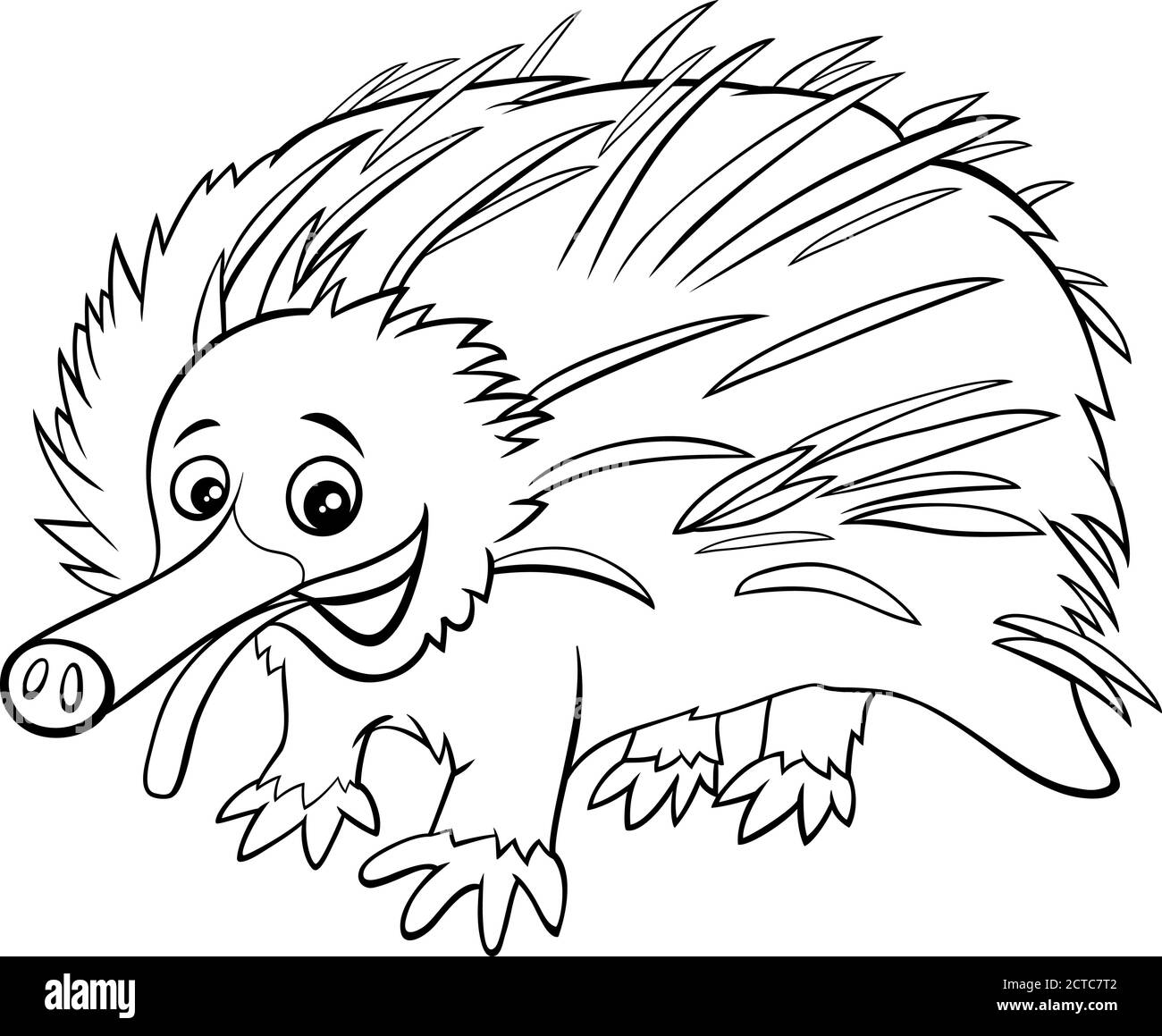 Black and White Cartoon Illustration of Echidna Wild Animal Character Coloring Book Page Stock Vector
