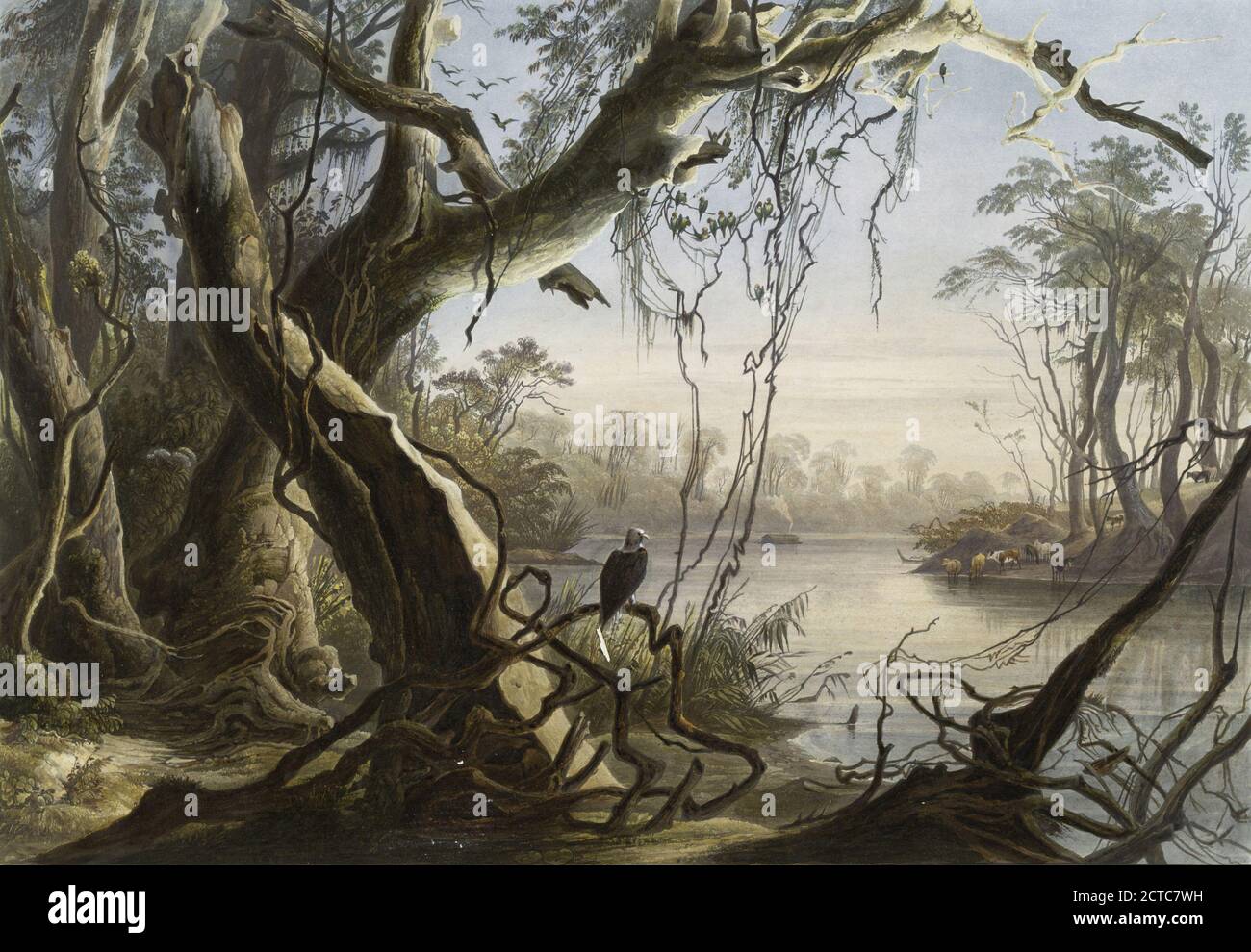 Embouchure du fox river hires stock photography and images Alamy