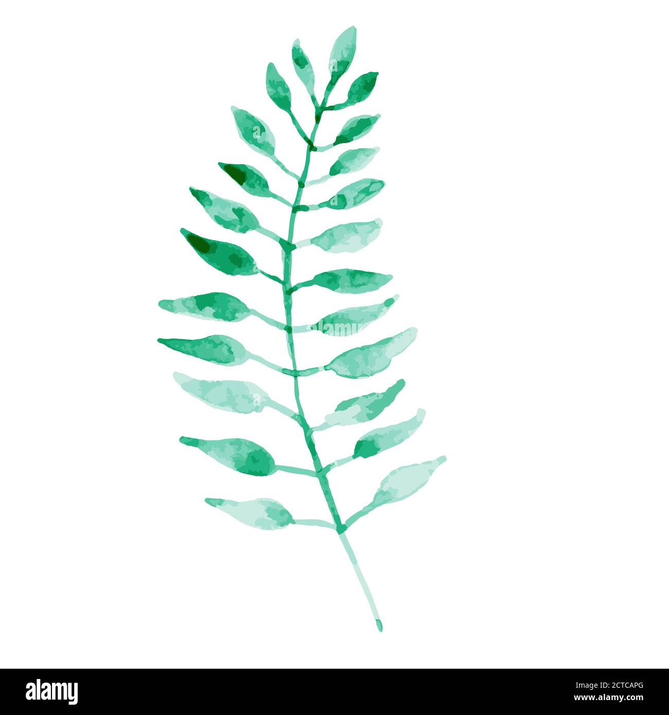 Watercolor green leaf isolated on white background Stock Vector Image ...